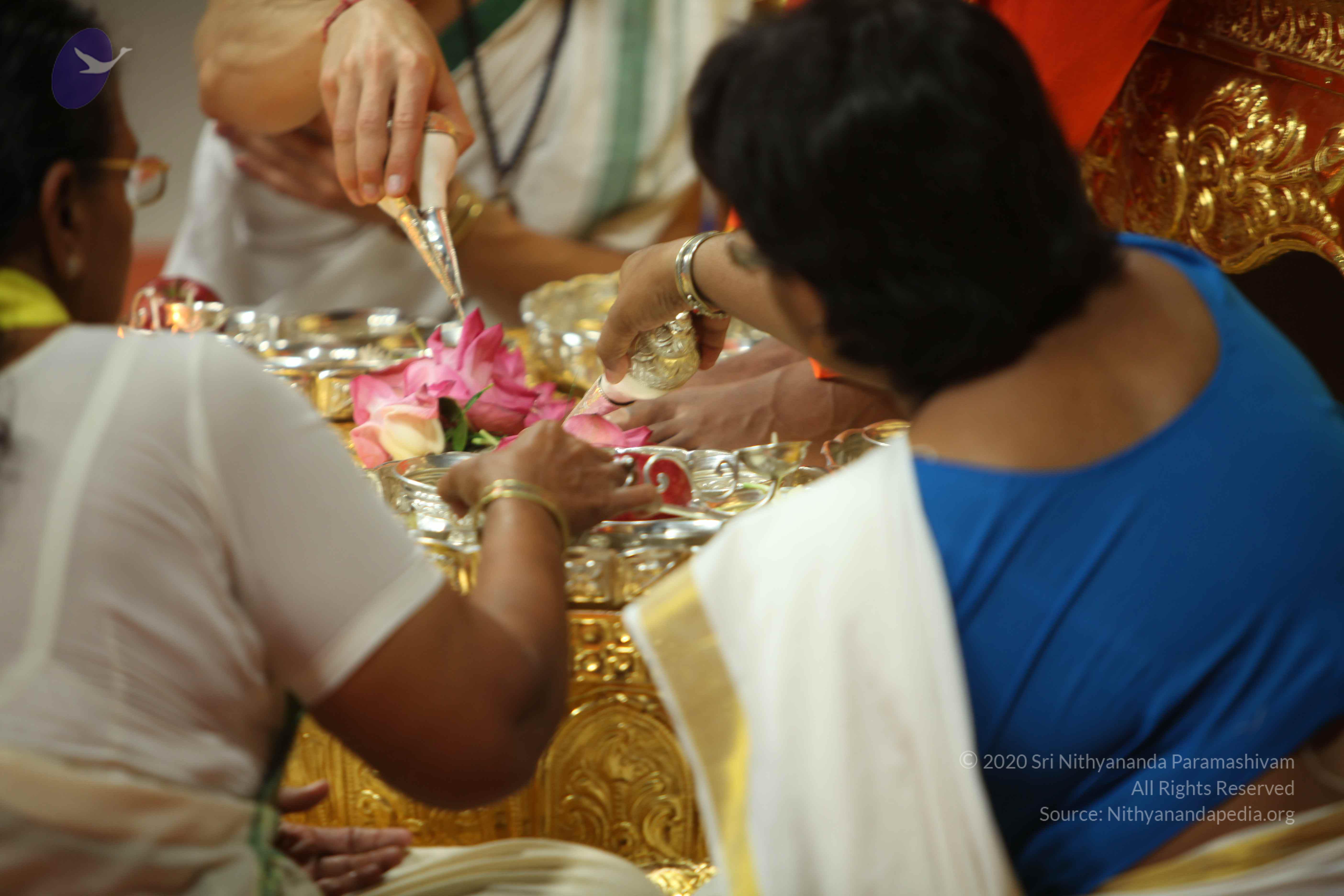 20110225_Photo_1116_IMG_0963_CMP_WM