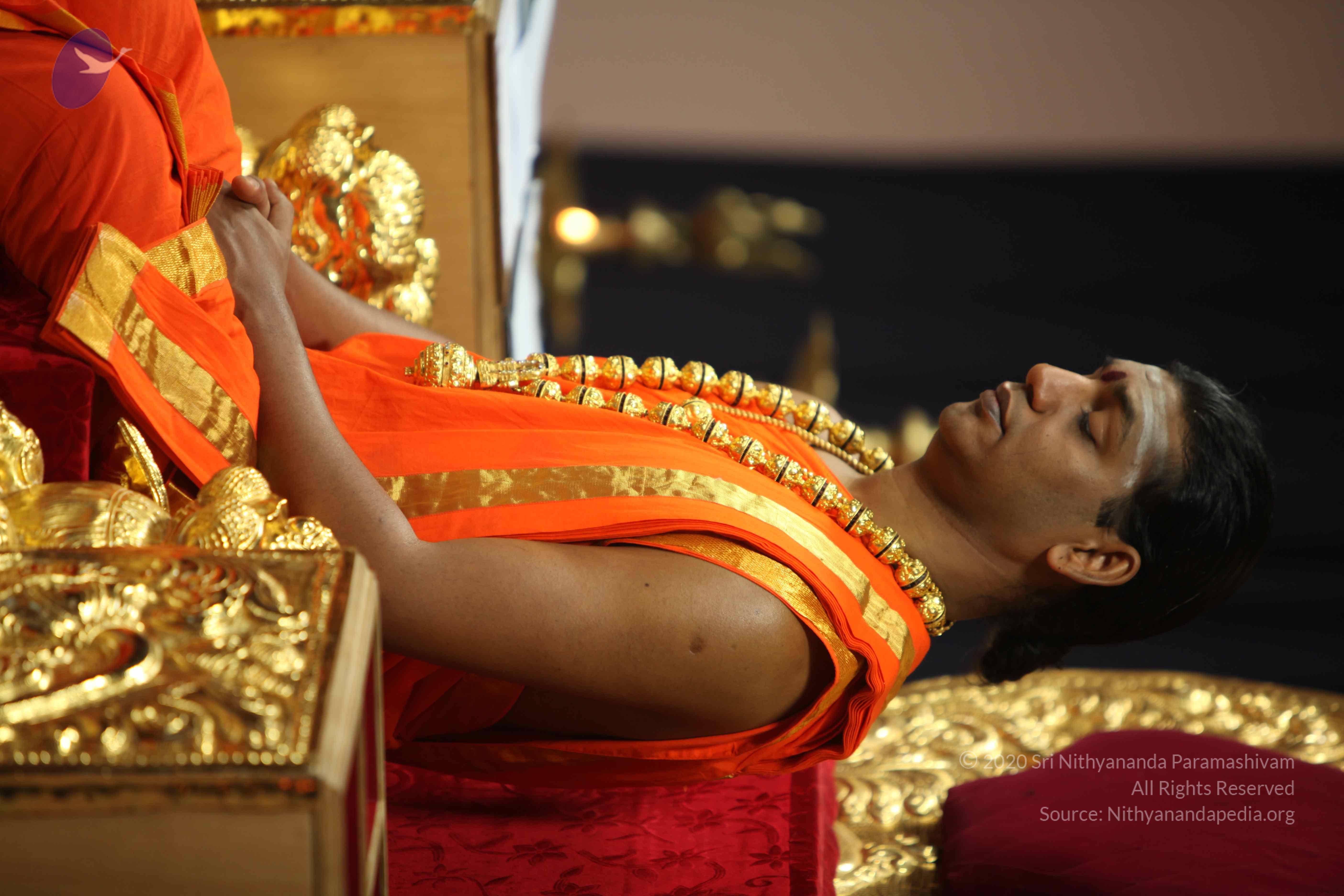 20110225_Photo_1117_IMG_0954_CMP_WM