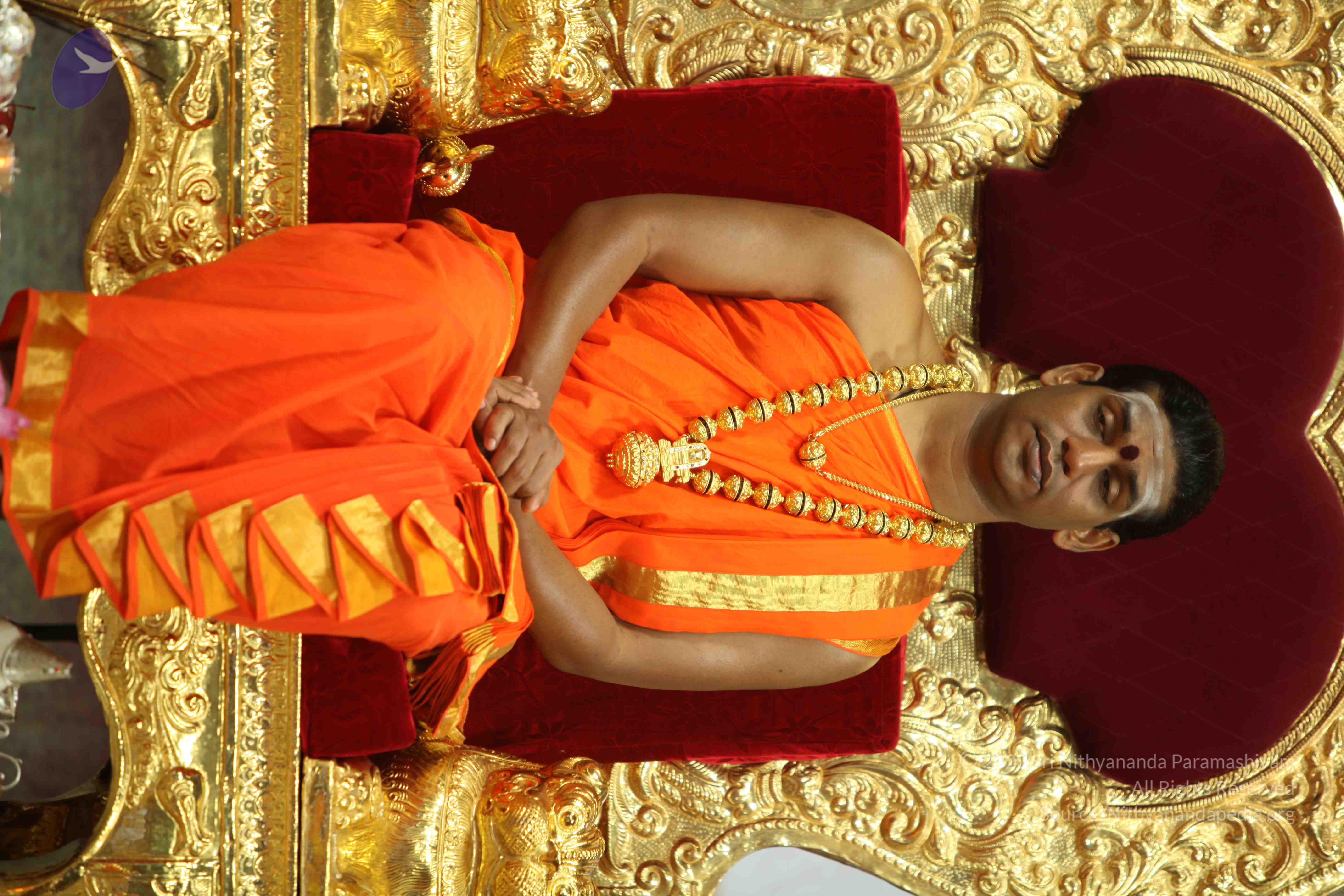 20110225_Photo_1125_IMG_0980_CMP_WM