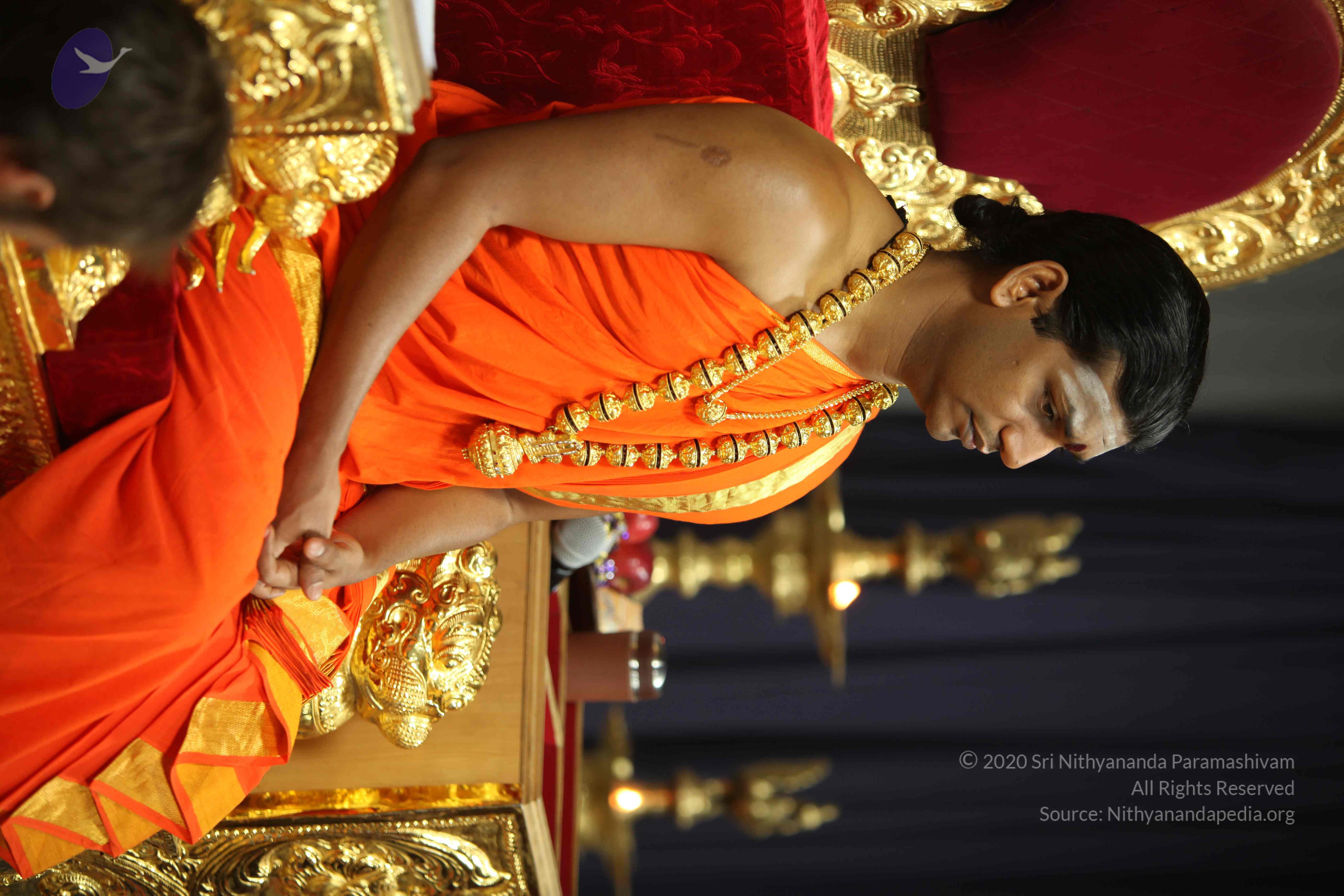 20110225_Photo_1131_IMG_0933_CMP_WM