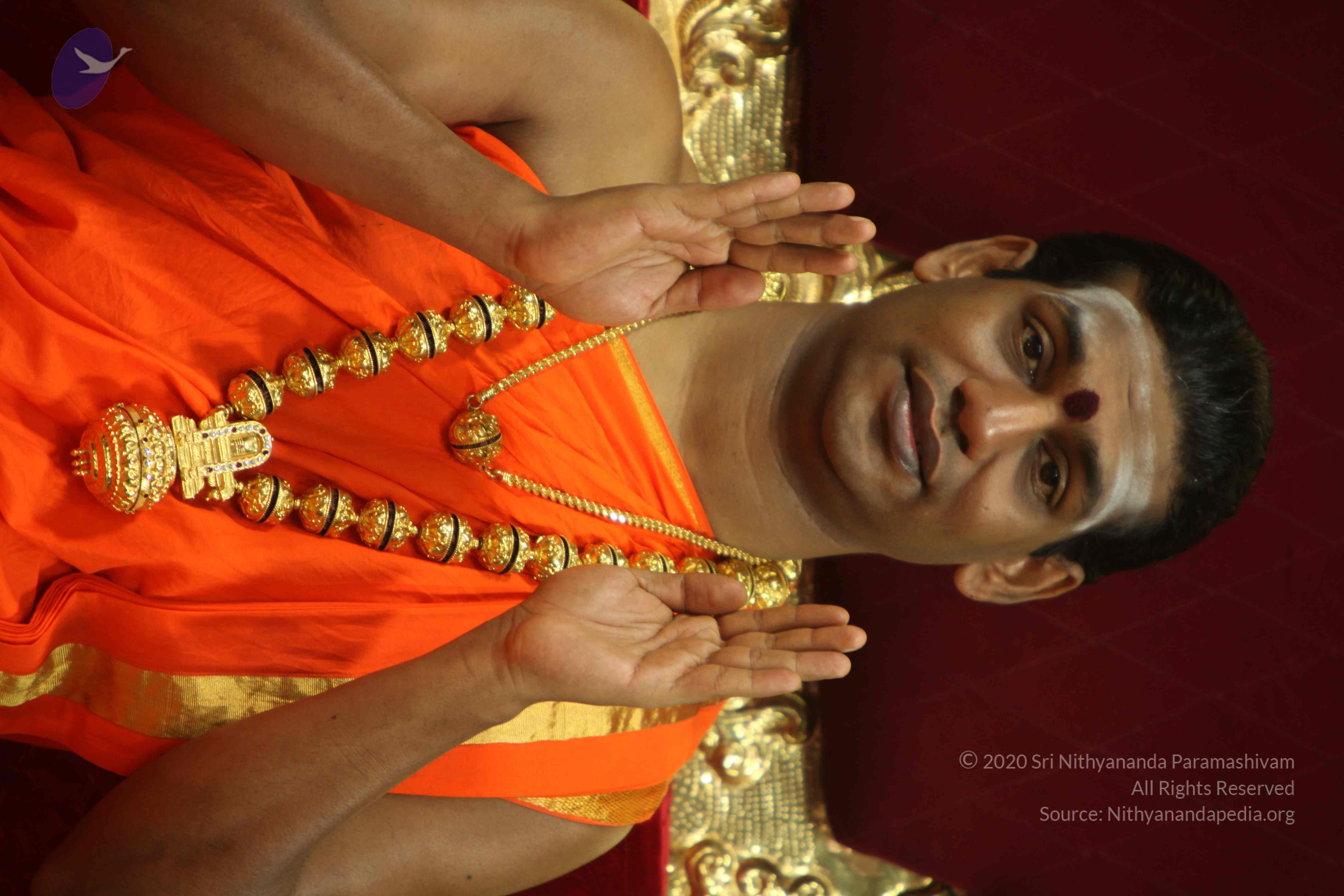 20110225_Photo_1142_IMG_1064_CMP_WM