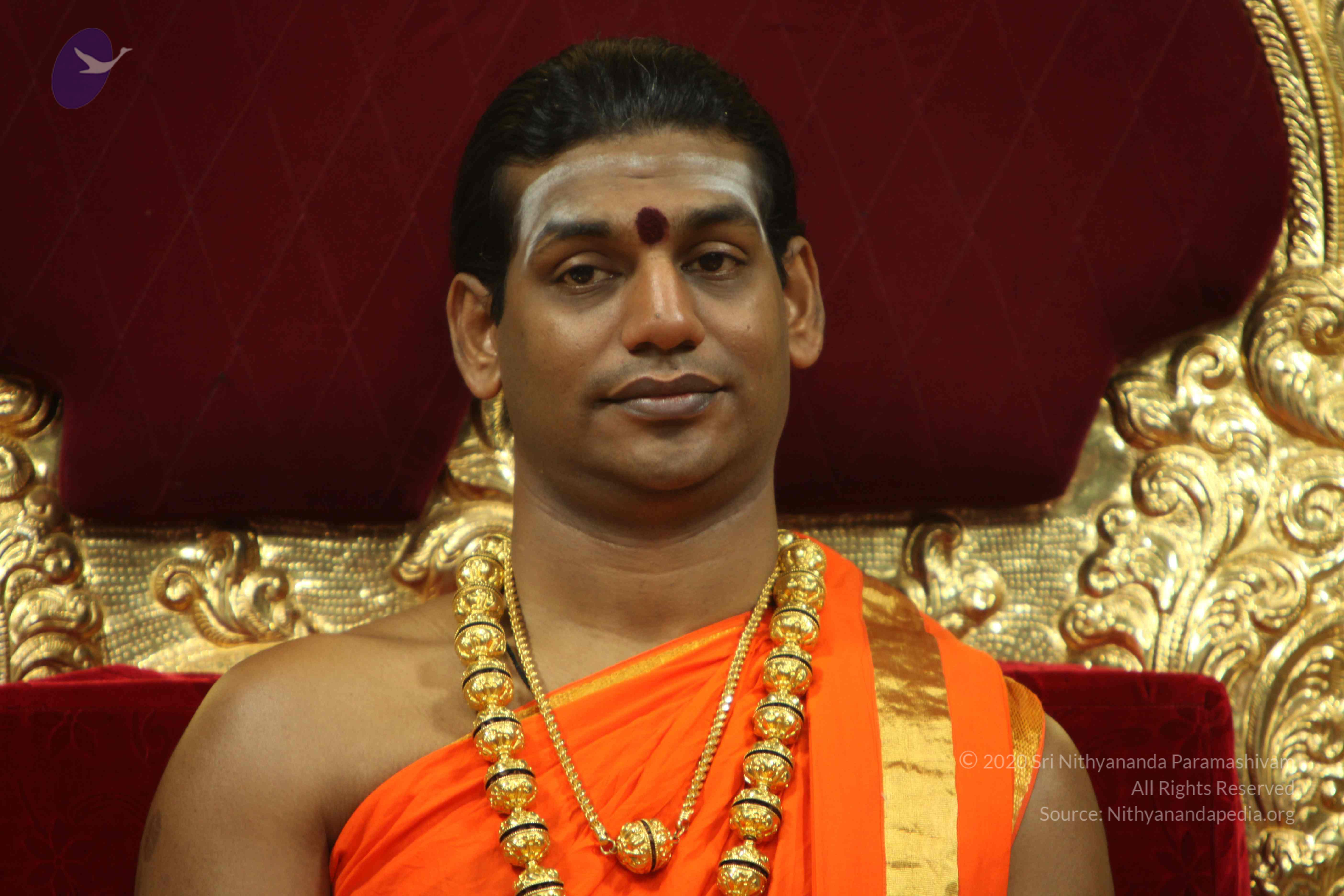 20110225_Photo_1145_IMG_1006_CMP_WM