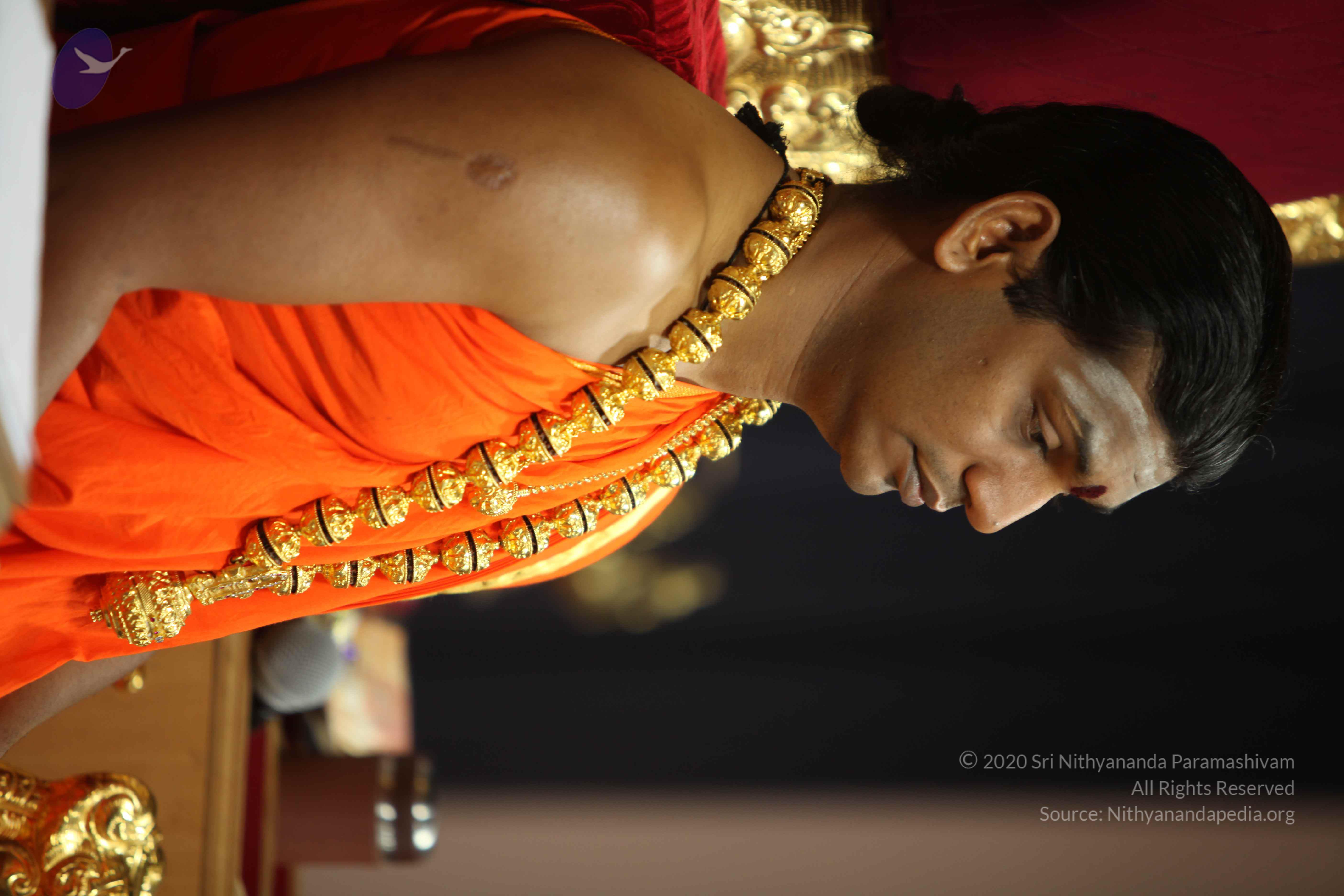 20110225_Photo_1147_IMG_0915_CMP_WM