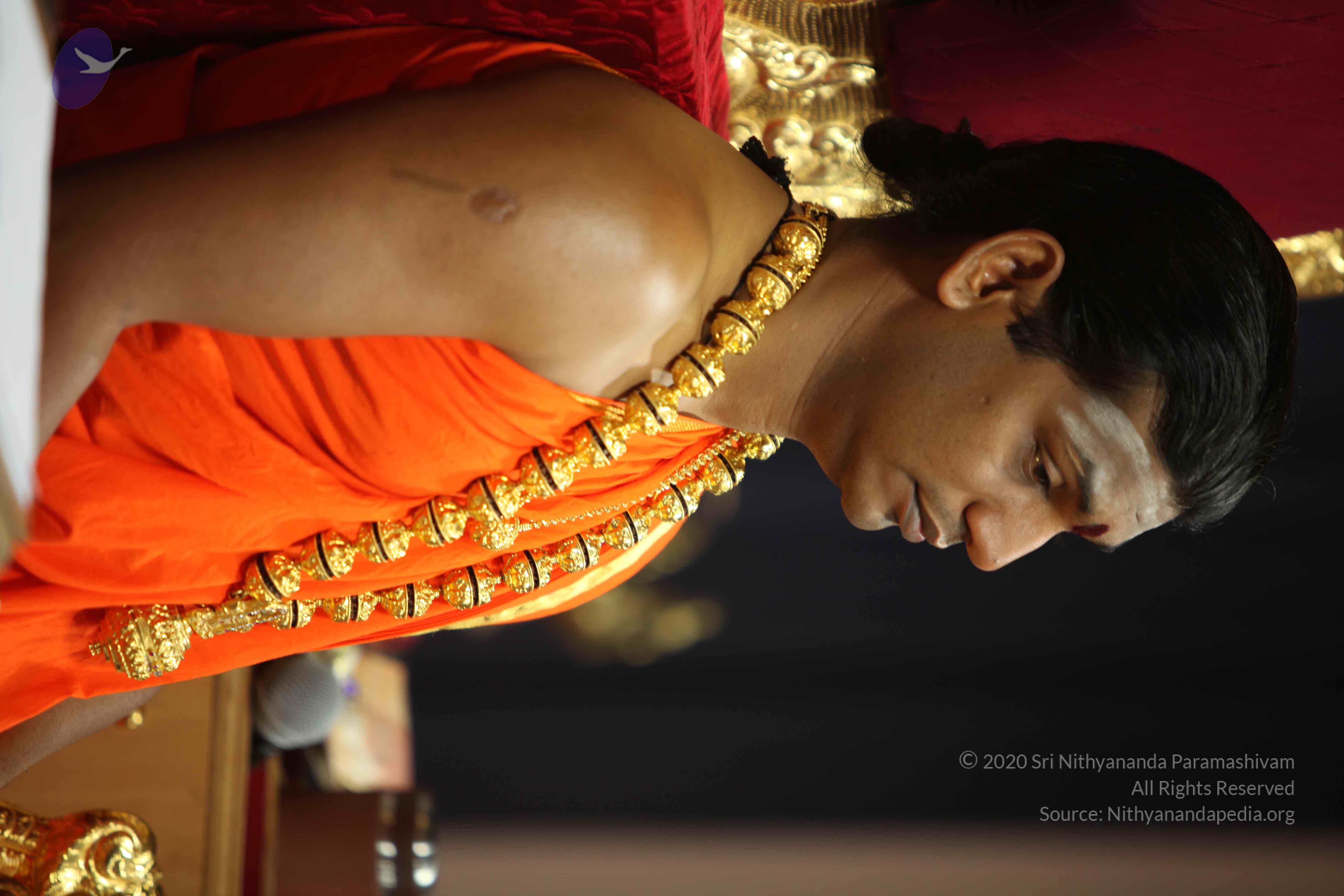 20110225_Photo_1153_IMG_0912_CMP_WM