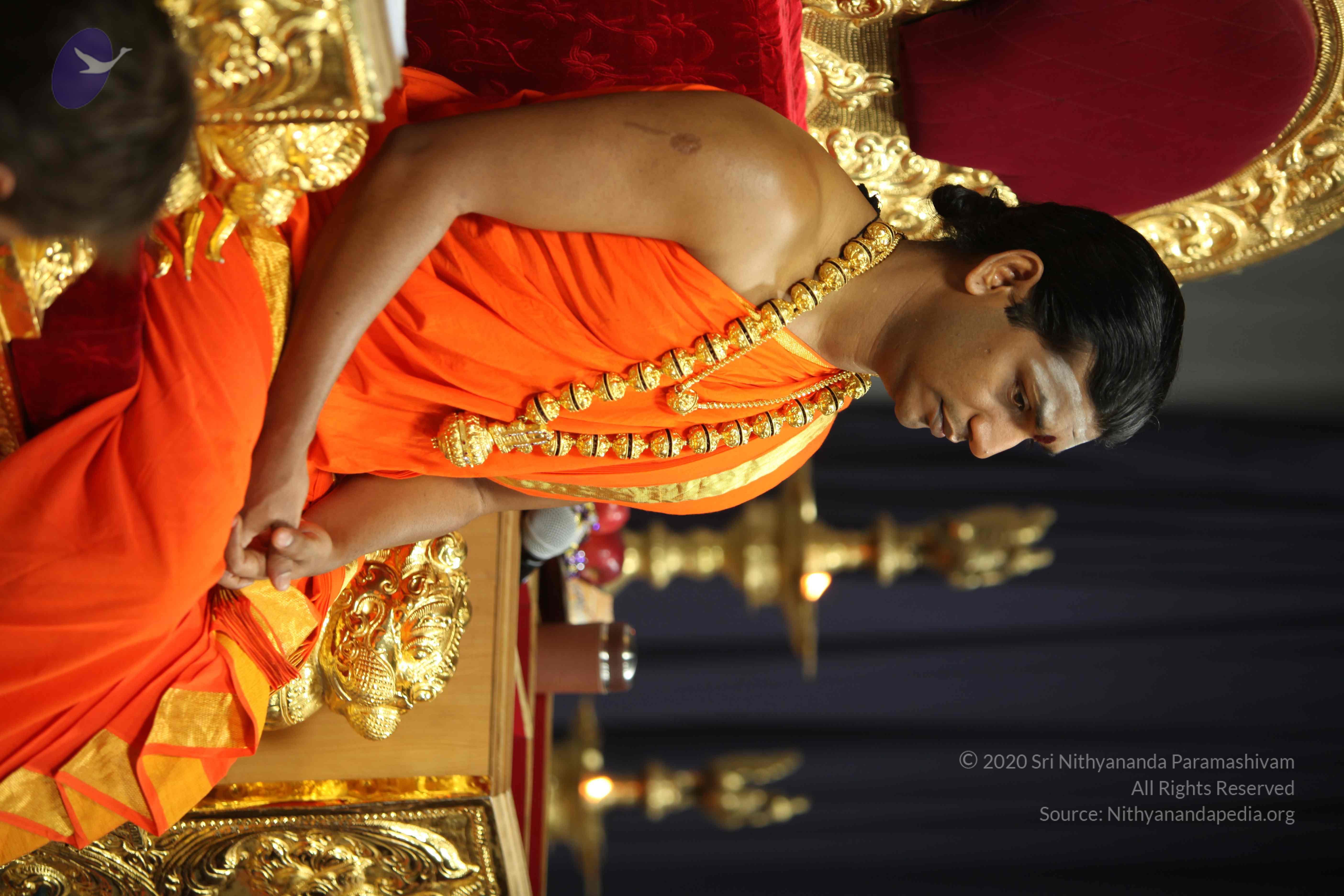 20110225_Photo_1166_IMG_0928_CMP_WM