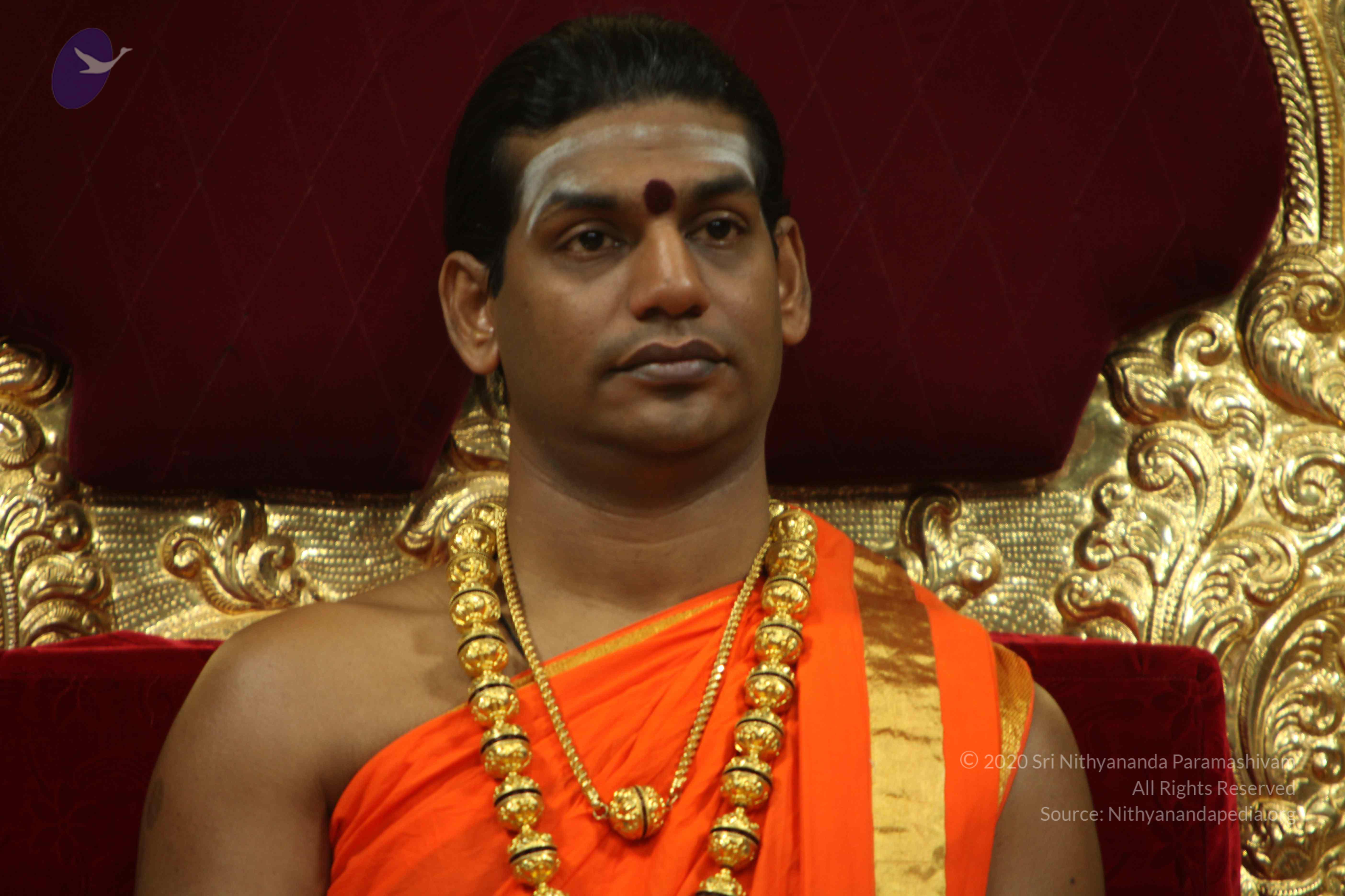 20110225_Photo_1169_IMG_0982_CMP_WM