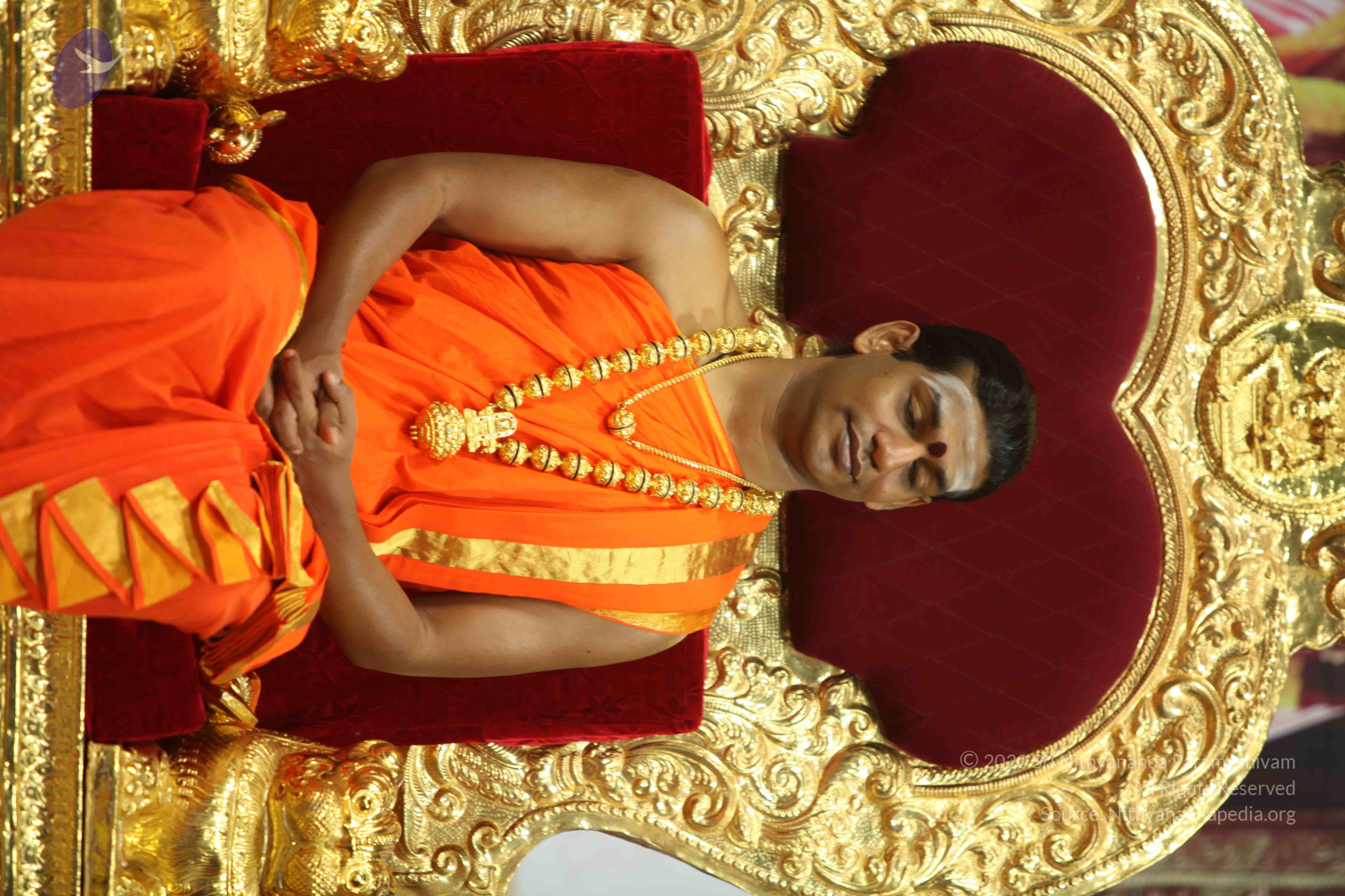 20110225_Photo_1171_IMG_0875_CMP_WM