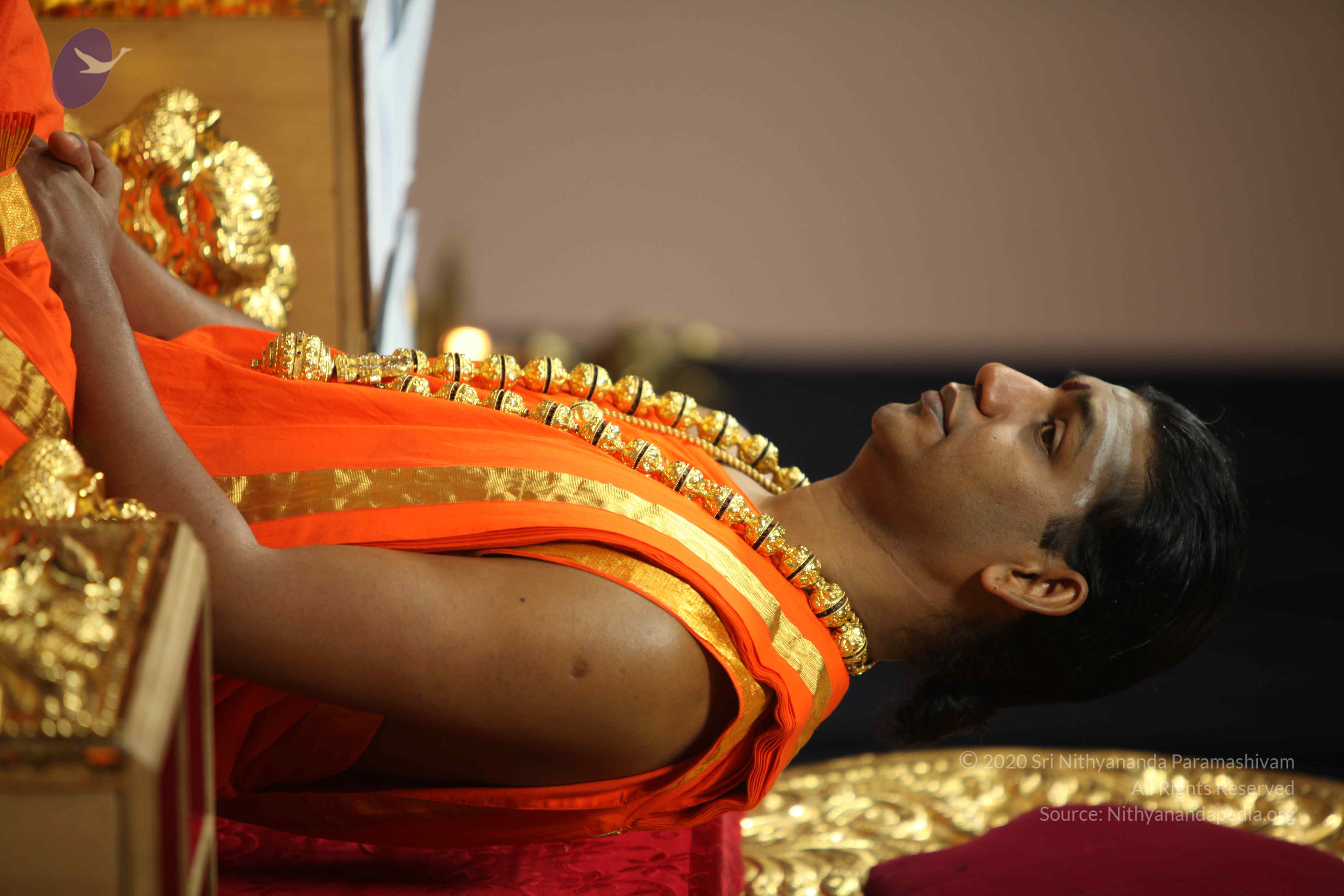 20110225_Photo_1172_IMG_0956_CMP_WM