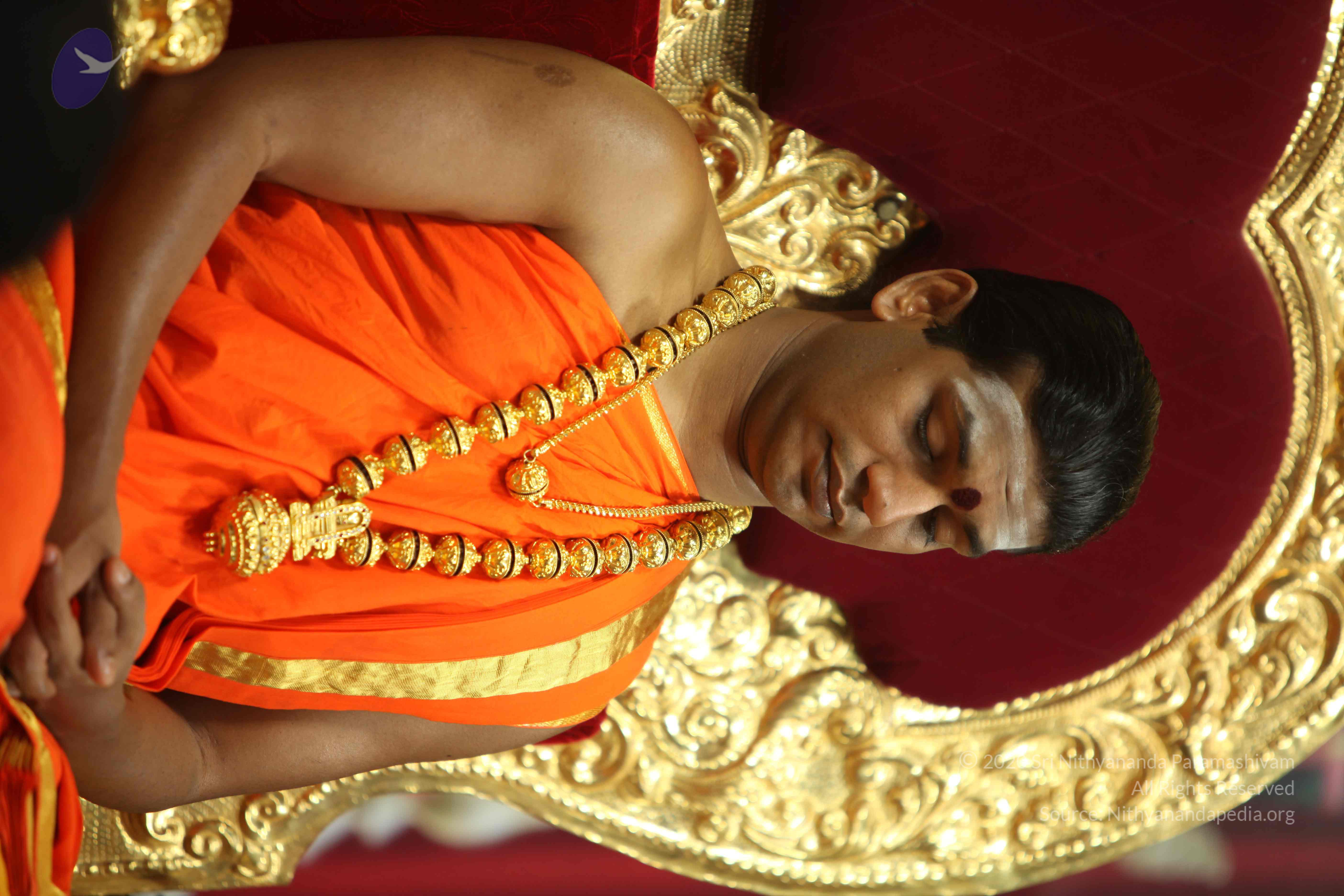 20110225_Photo_1175_IMG_0903_CMP_WM