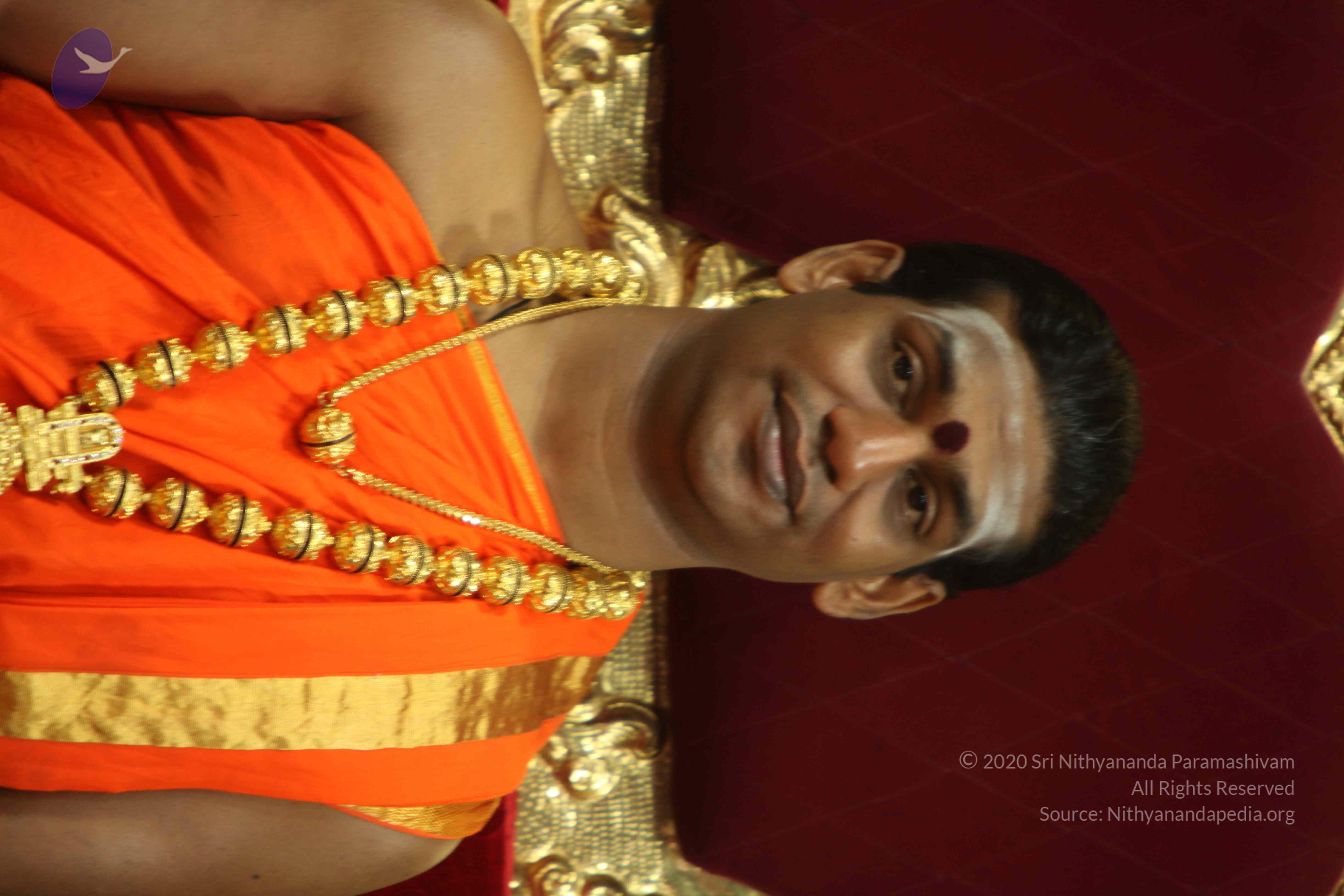 20110225_Photo_1177_IMG_1015_CMP_WM