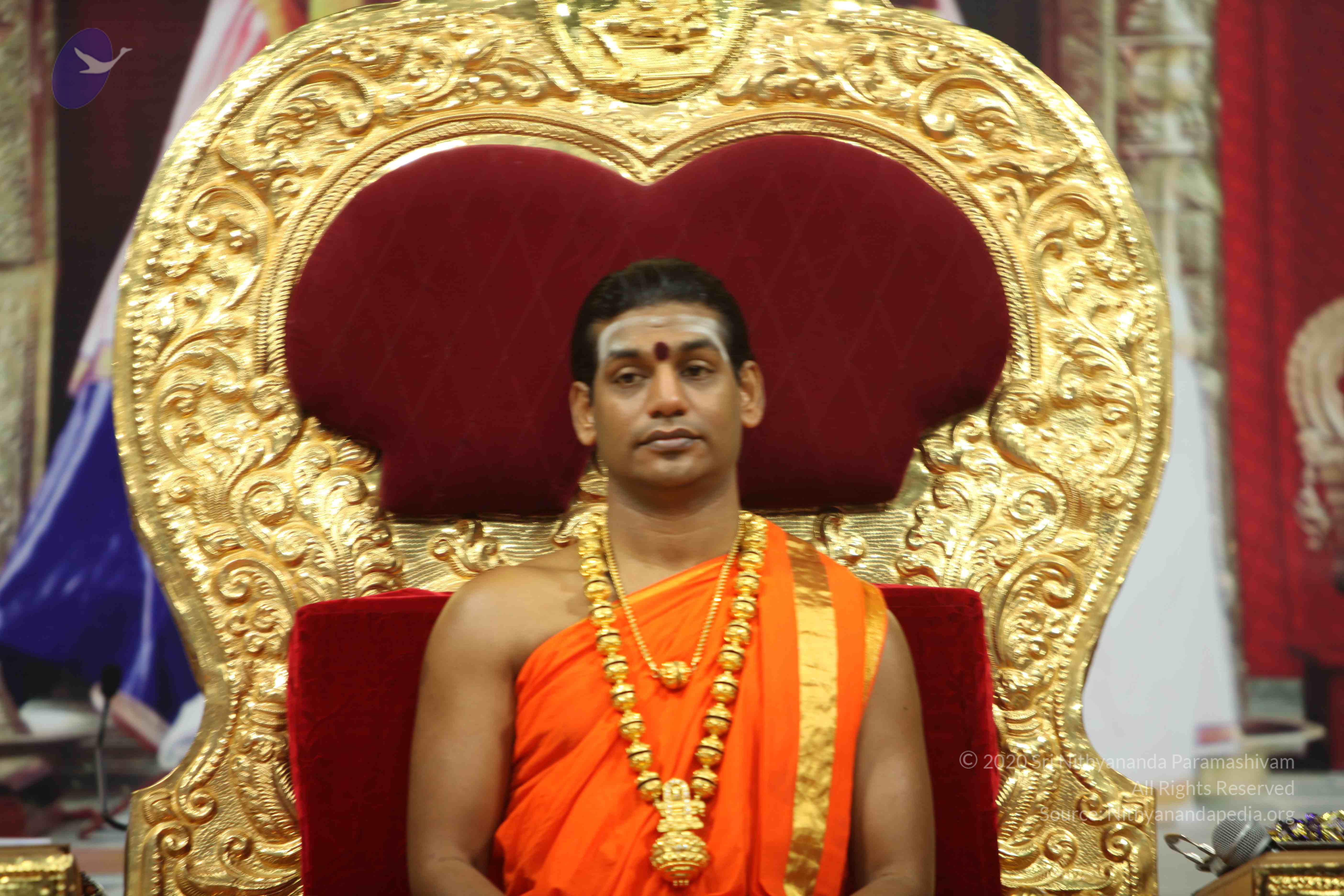 20110225_Photo_1180_IMG_0893_CMP_WM