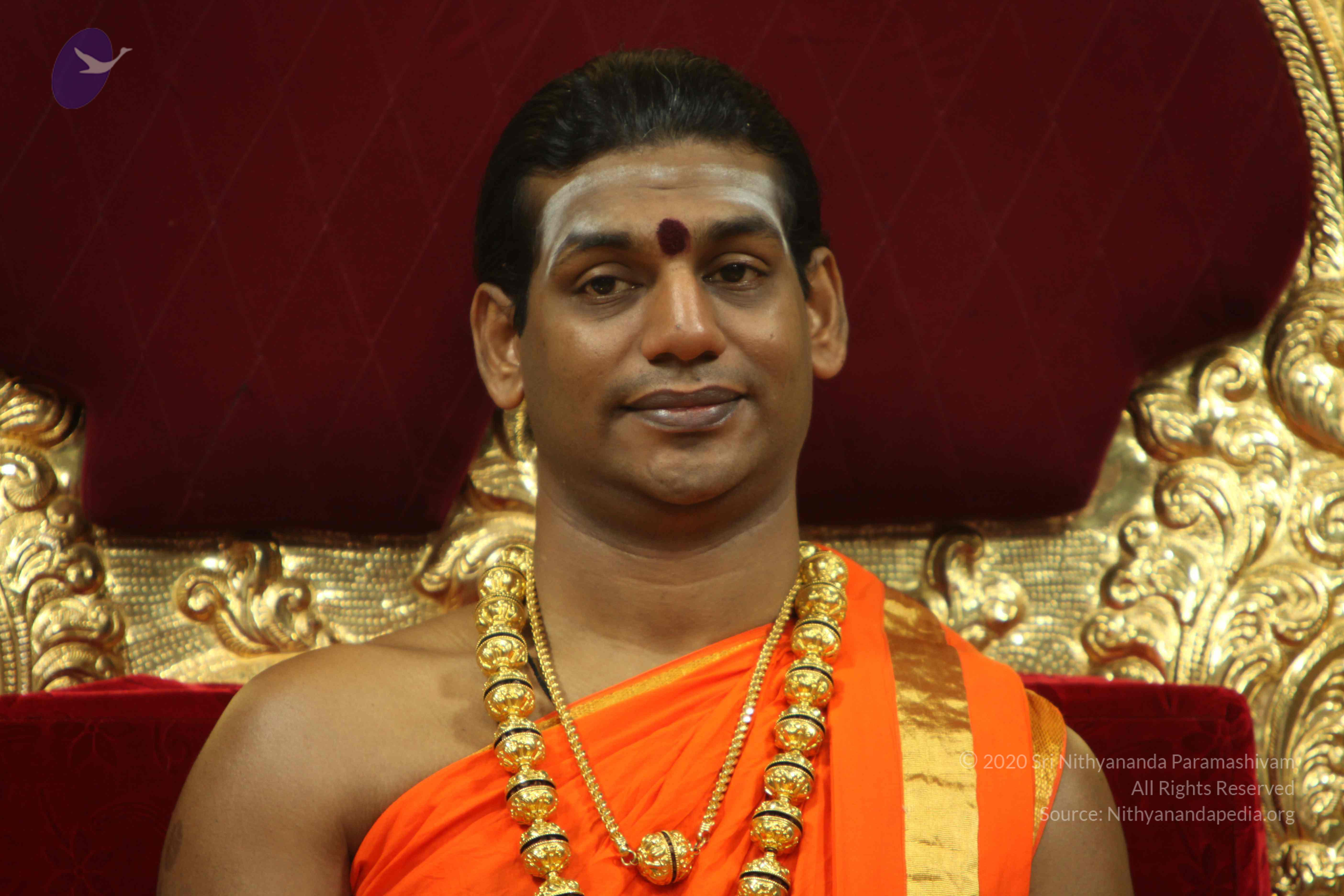 20110225_Photo_1181_IMG_1009_CMP_WM