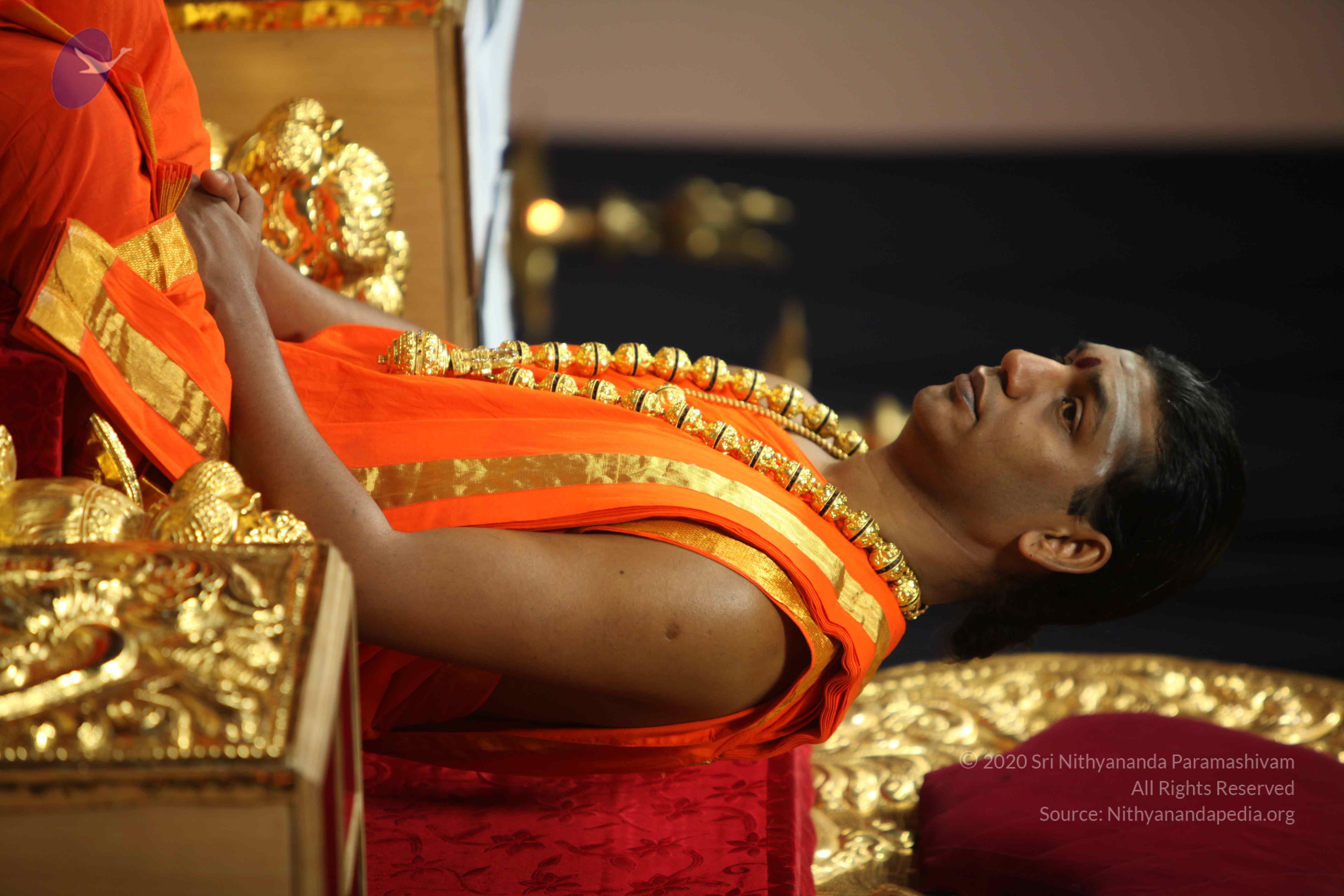 20110225_Photo_1183_IMG_0953_CMP_WM