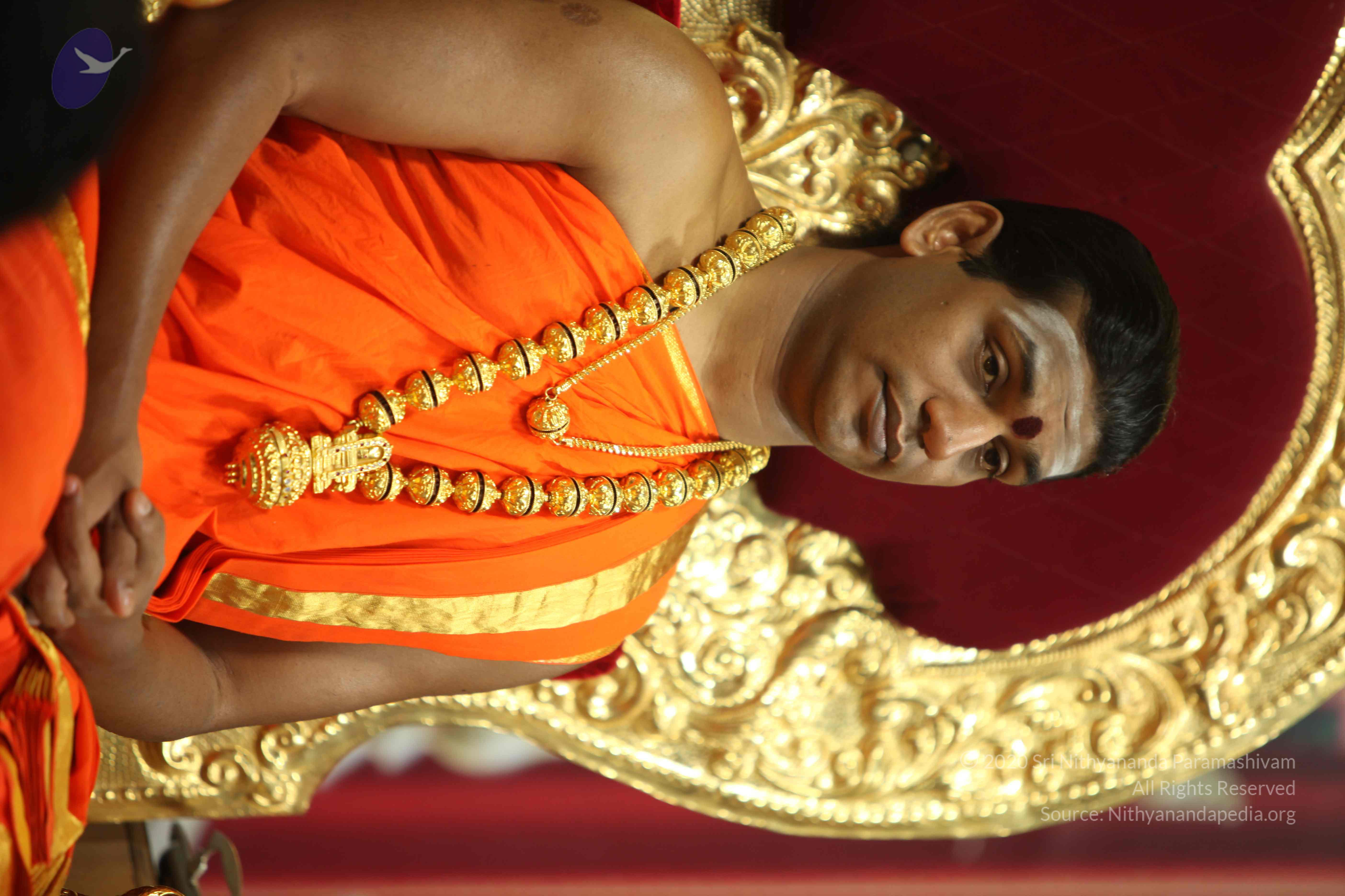 20110225_Photo_1185_IMG_0906_CMP_WM