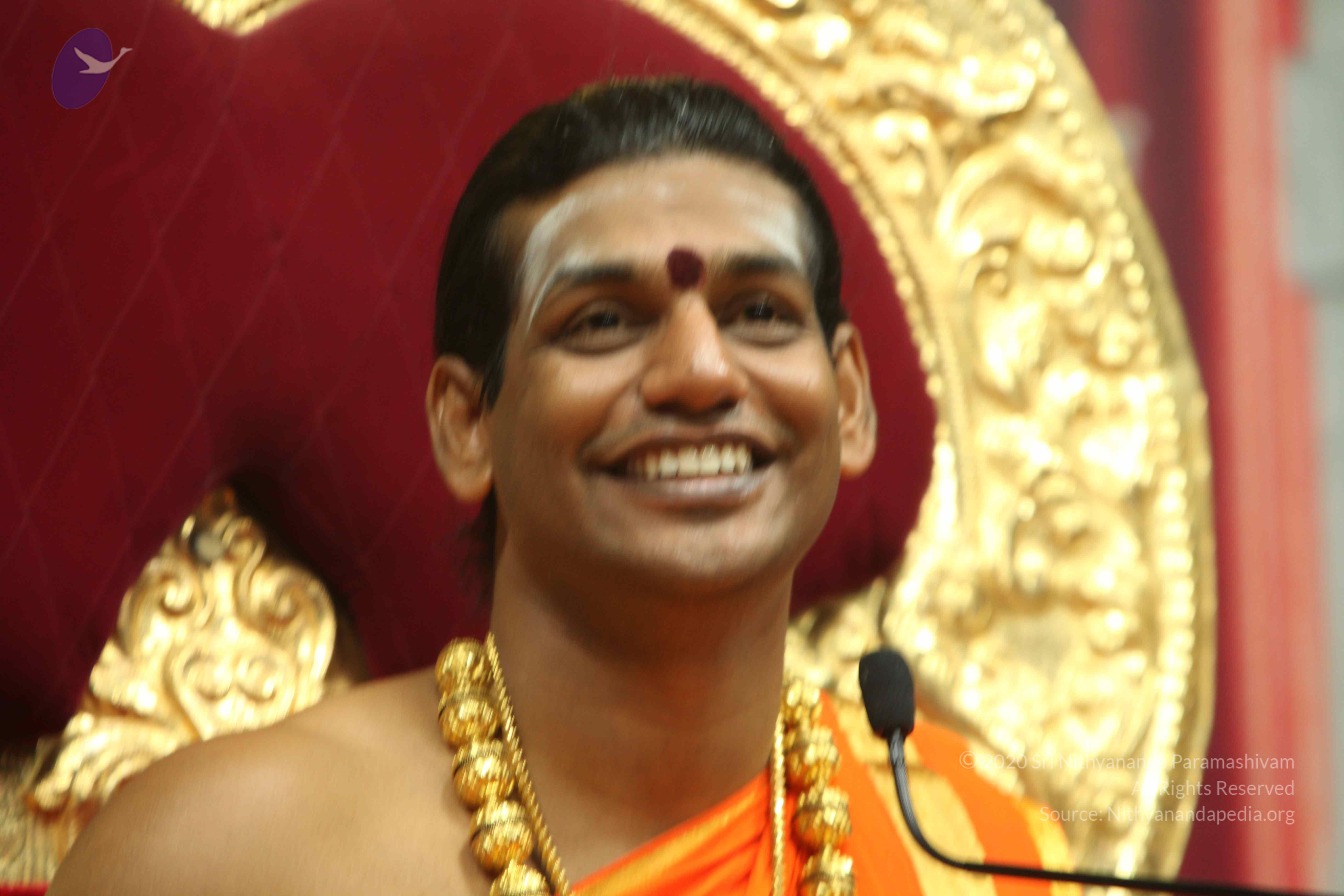 20110225_Photo_1003_IMG_1363_CMP_WM