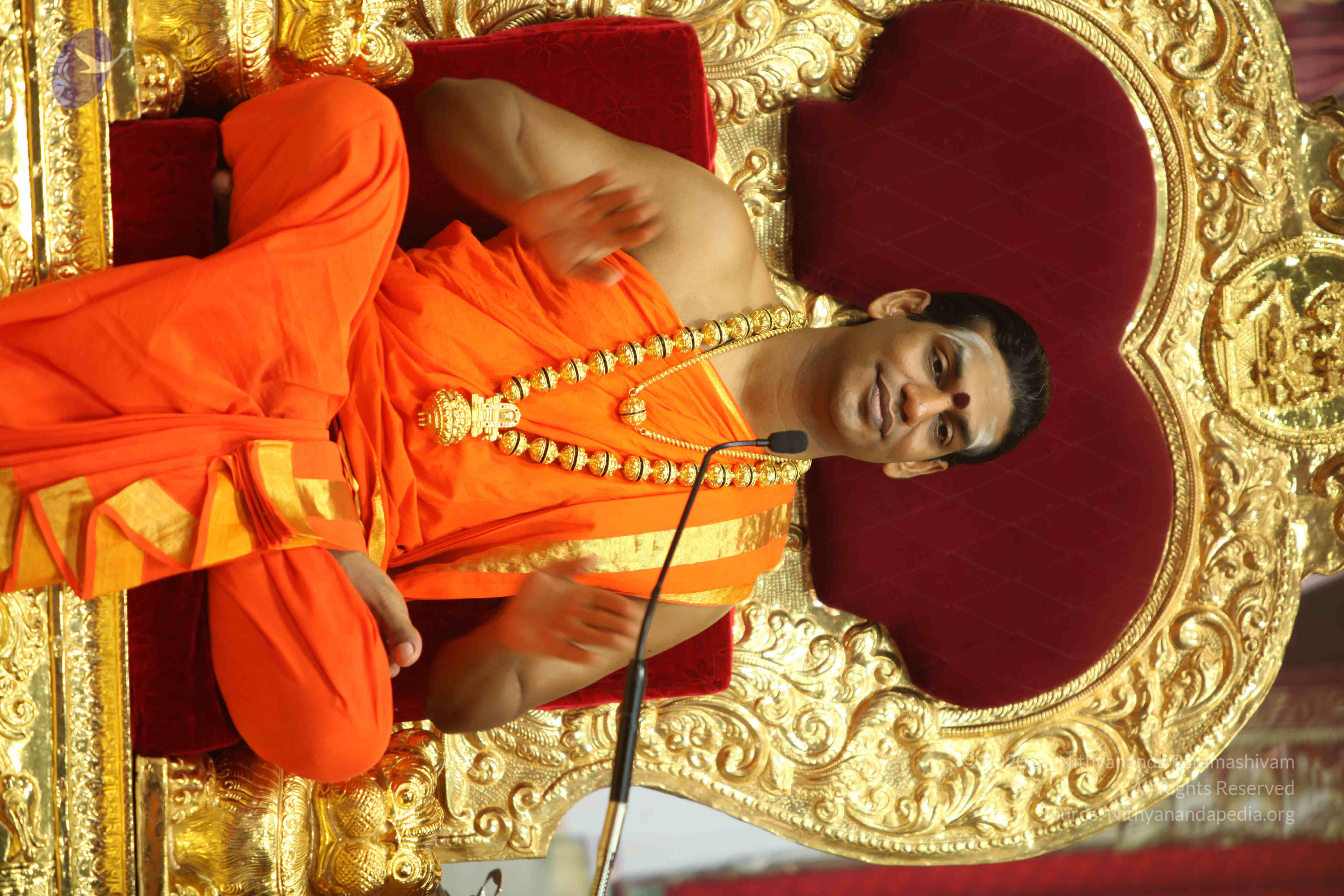 20110225_Photo_1008_IMG_1522_CMP_WM