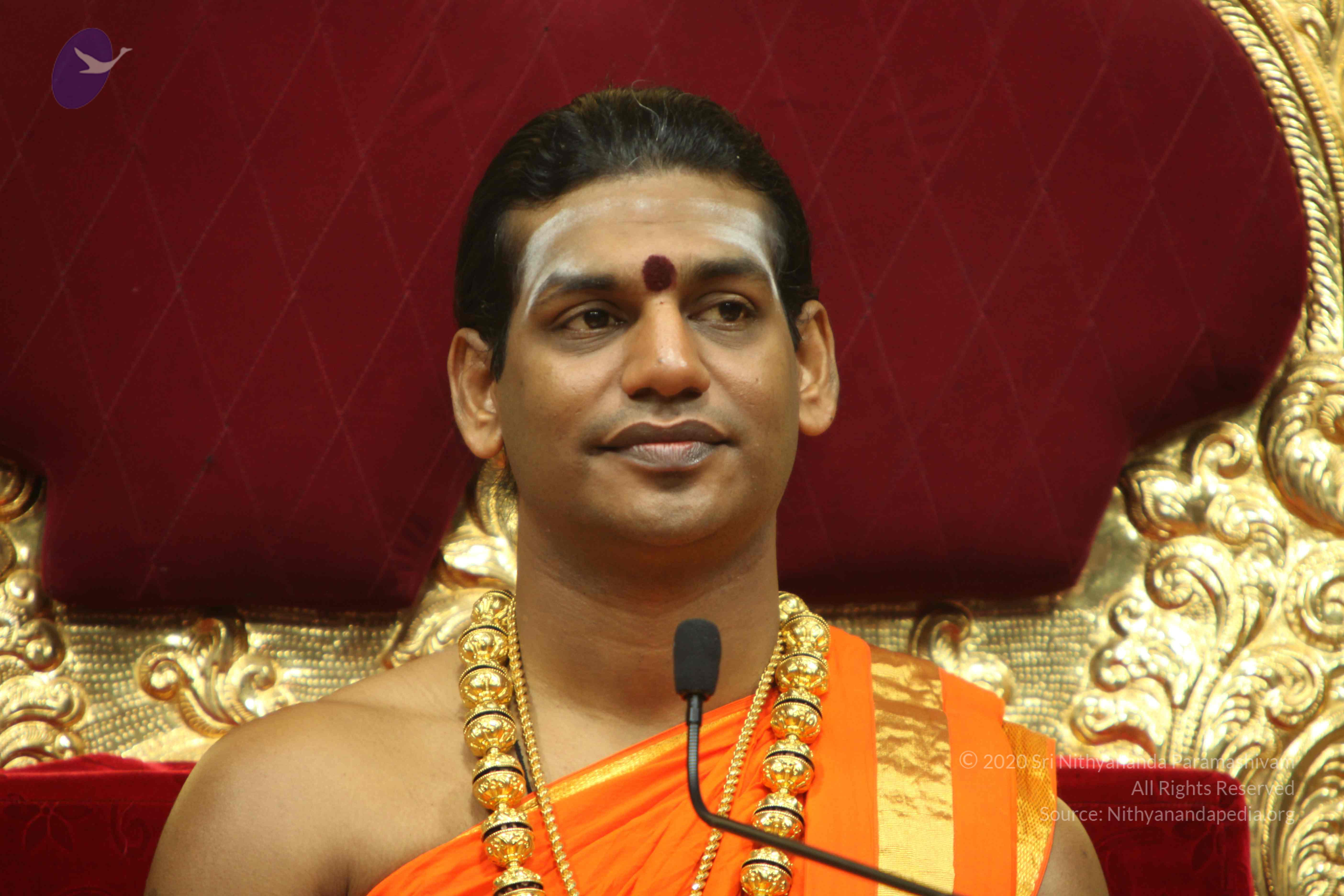 20110225_Photo_1019_IMG_1146_CMP_WM