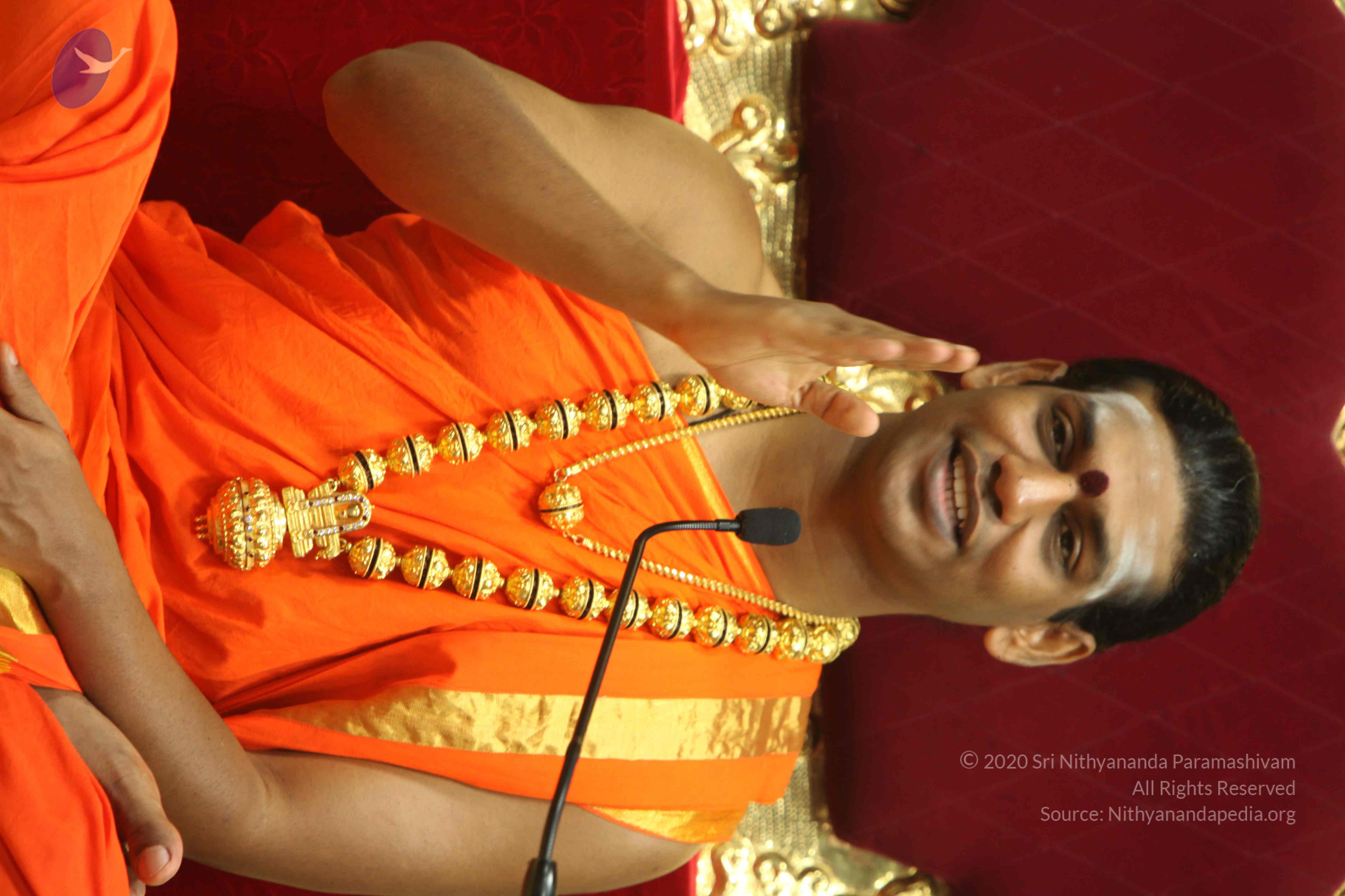 20110225_Photo_1034_IMG_1310_CMP_WM