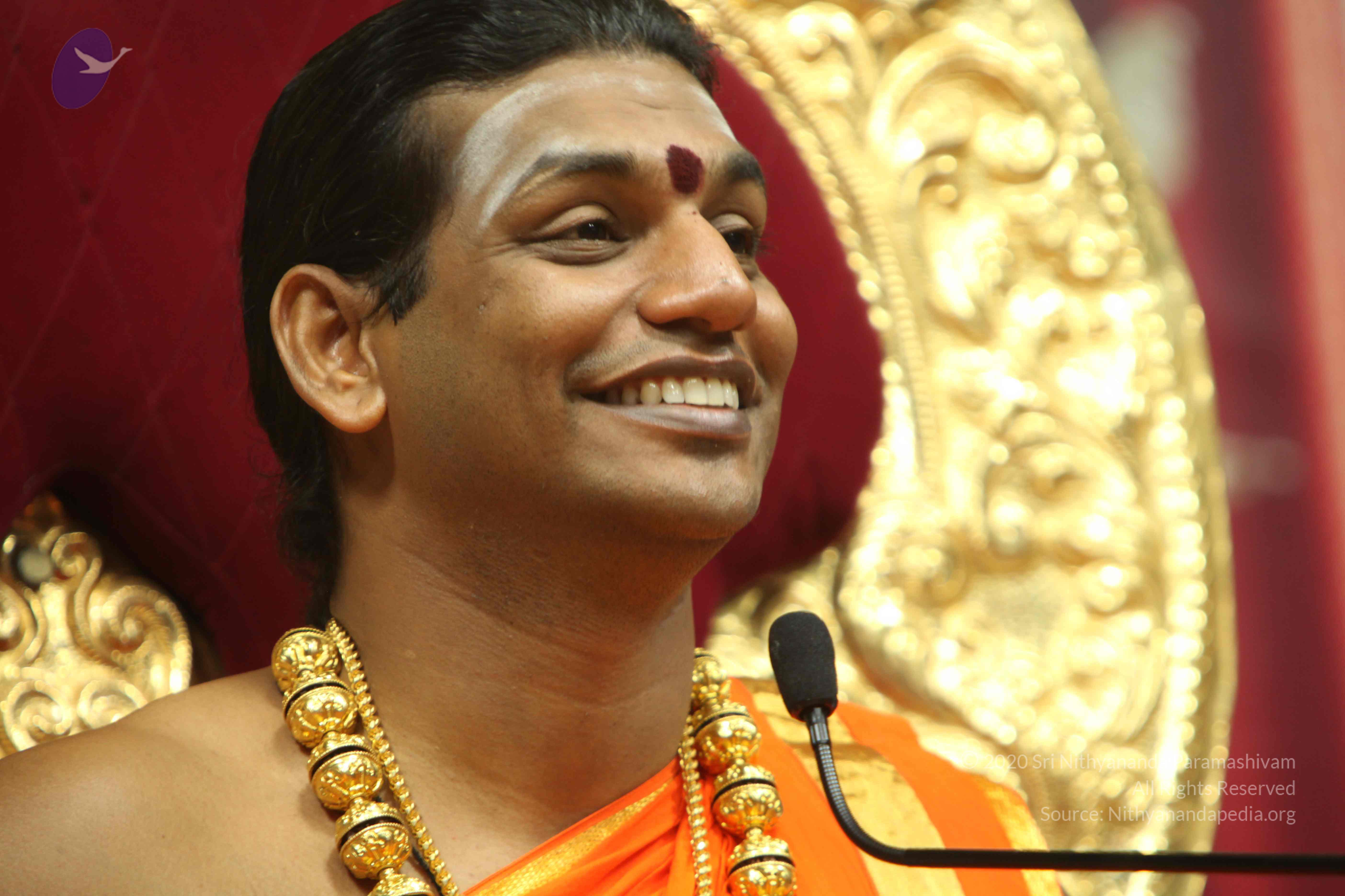 20110225_Photo_1038_IMG_1372_CMP_WM