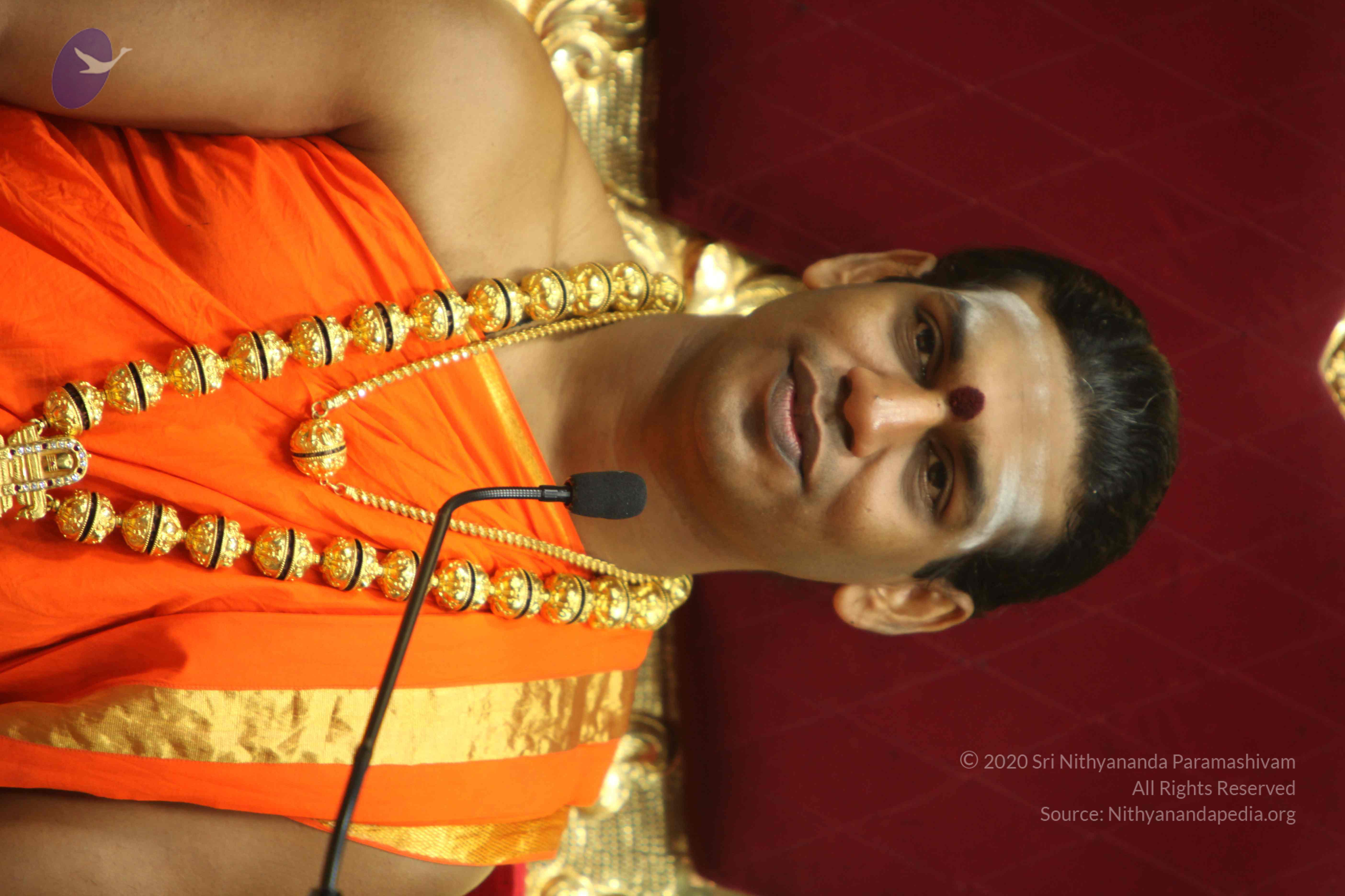 20110225_Photo_1054_IMG_1168_CMP_WM