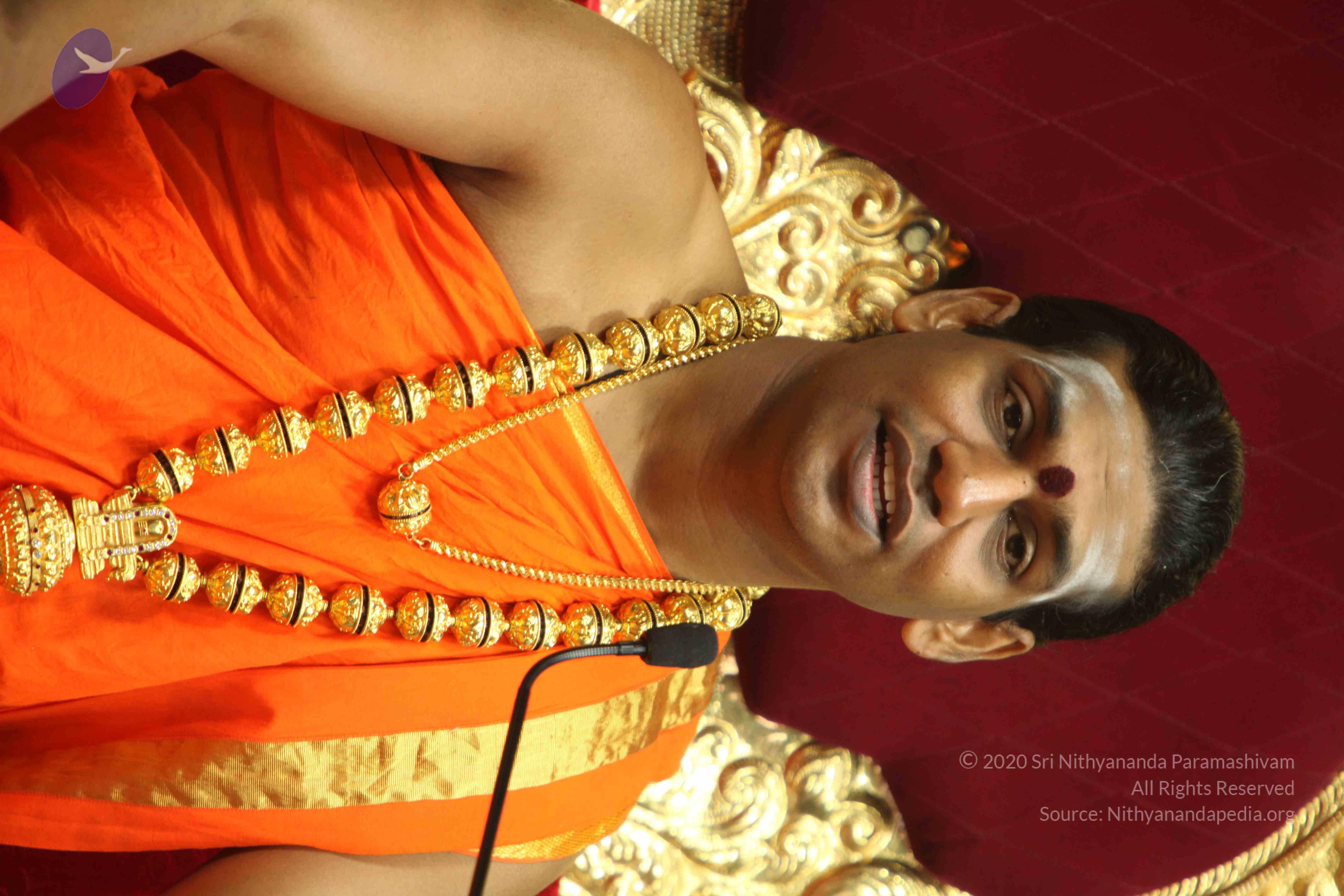 20110225_Photo_1073_IMG_1333_CMP_WM