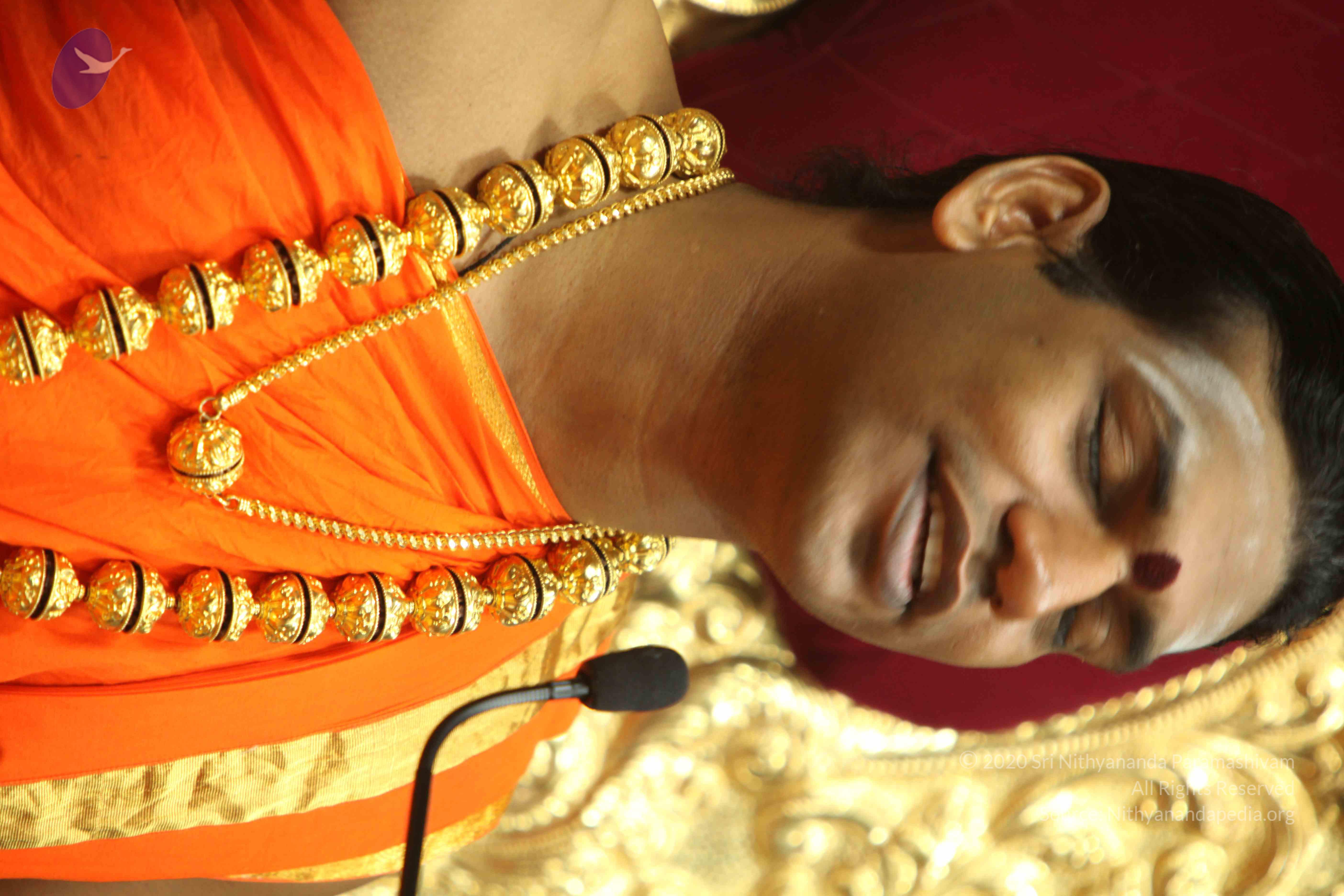 20110225_Photo_1103_IMG_1361_CMP_WM