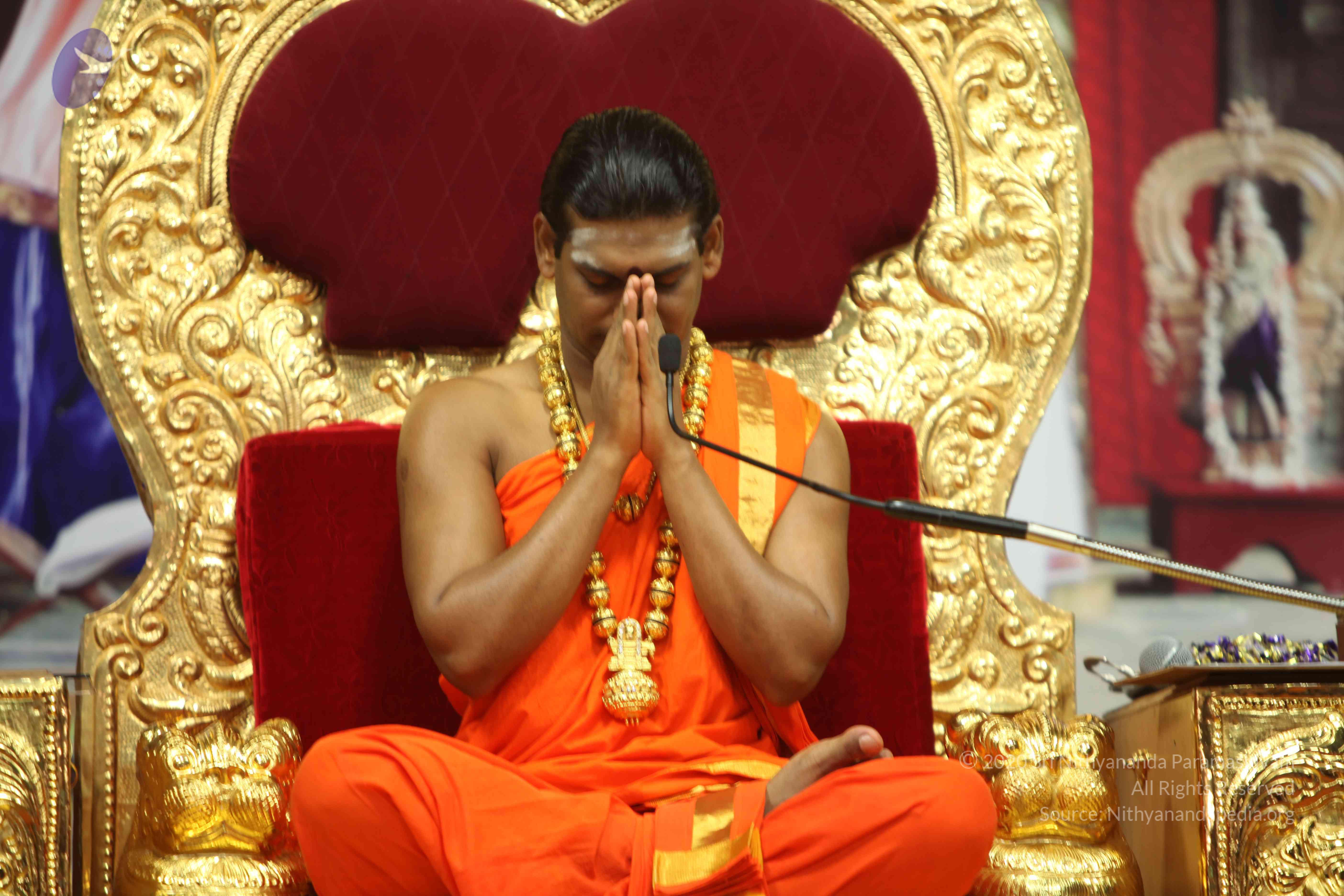 20110225_Photo_1107_IMG_1517_CMP_WM