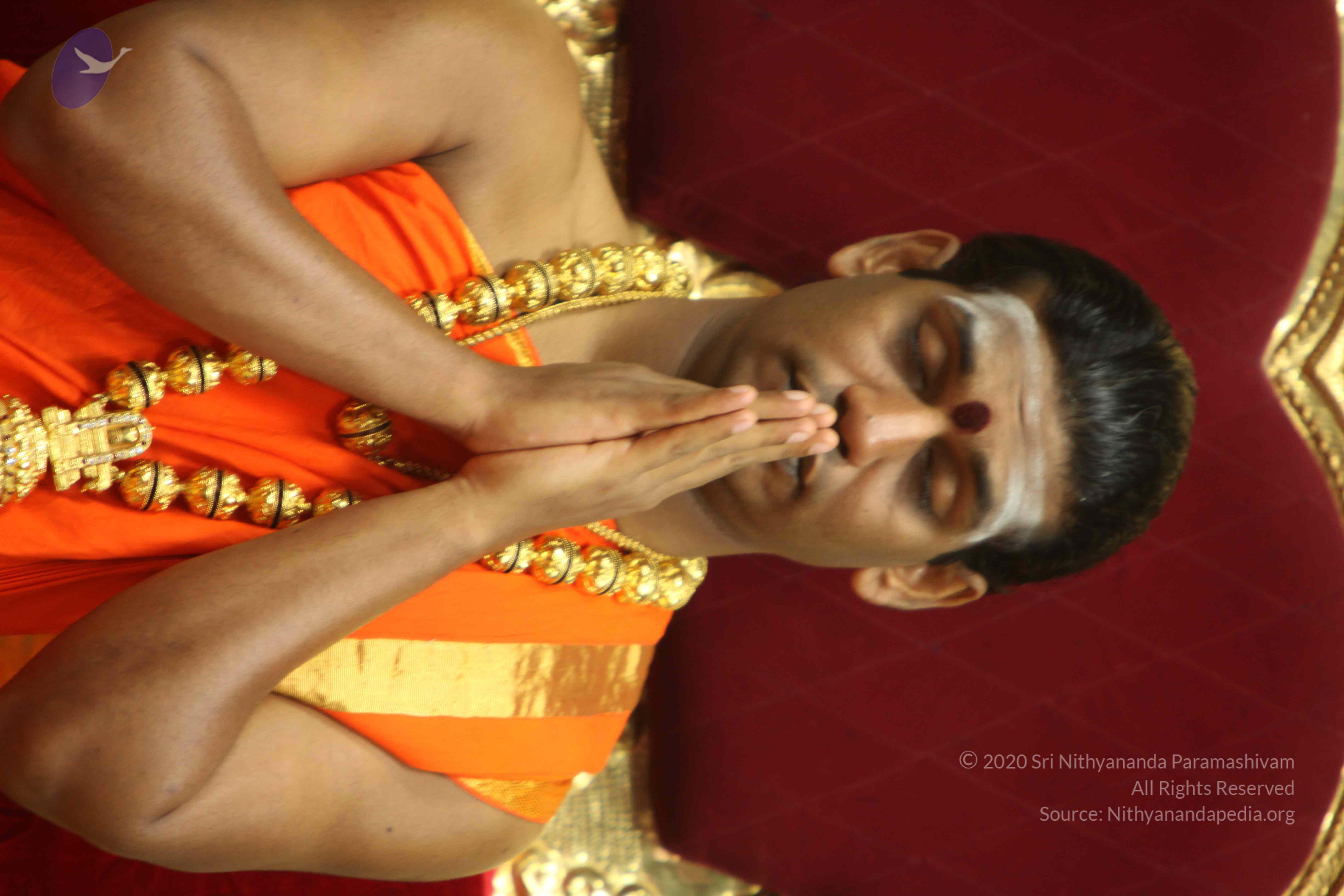 20110225_Photo_1126_IMG_1084_CMP_WM