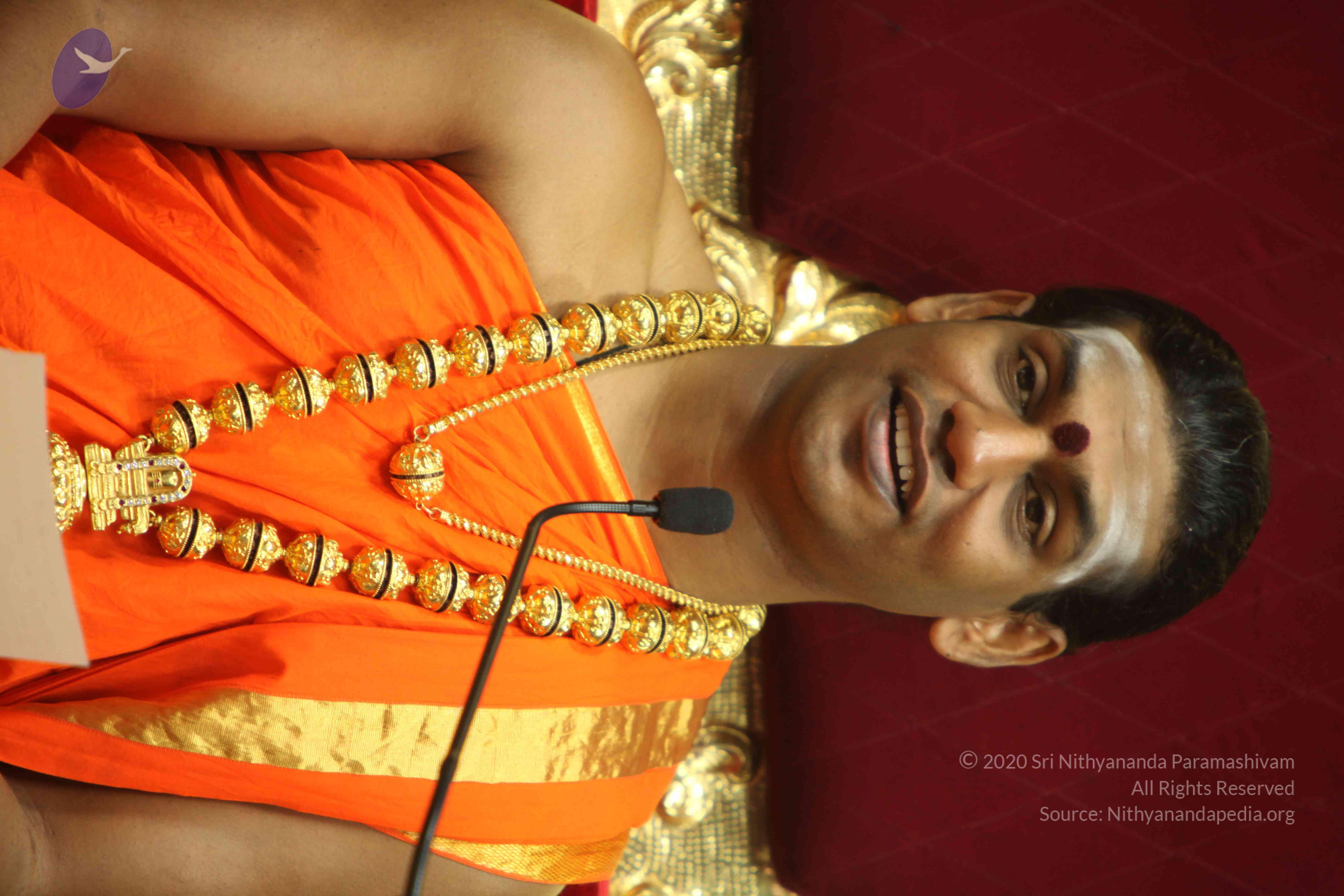 20110225_Photo_1178_IMG_1120_CMP_WM