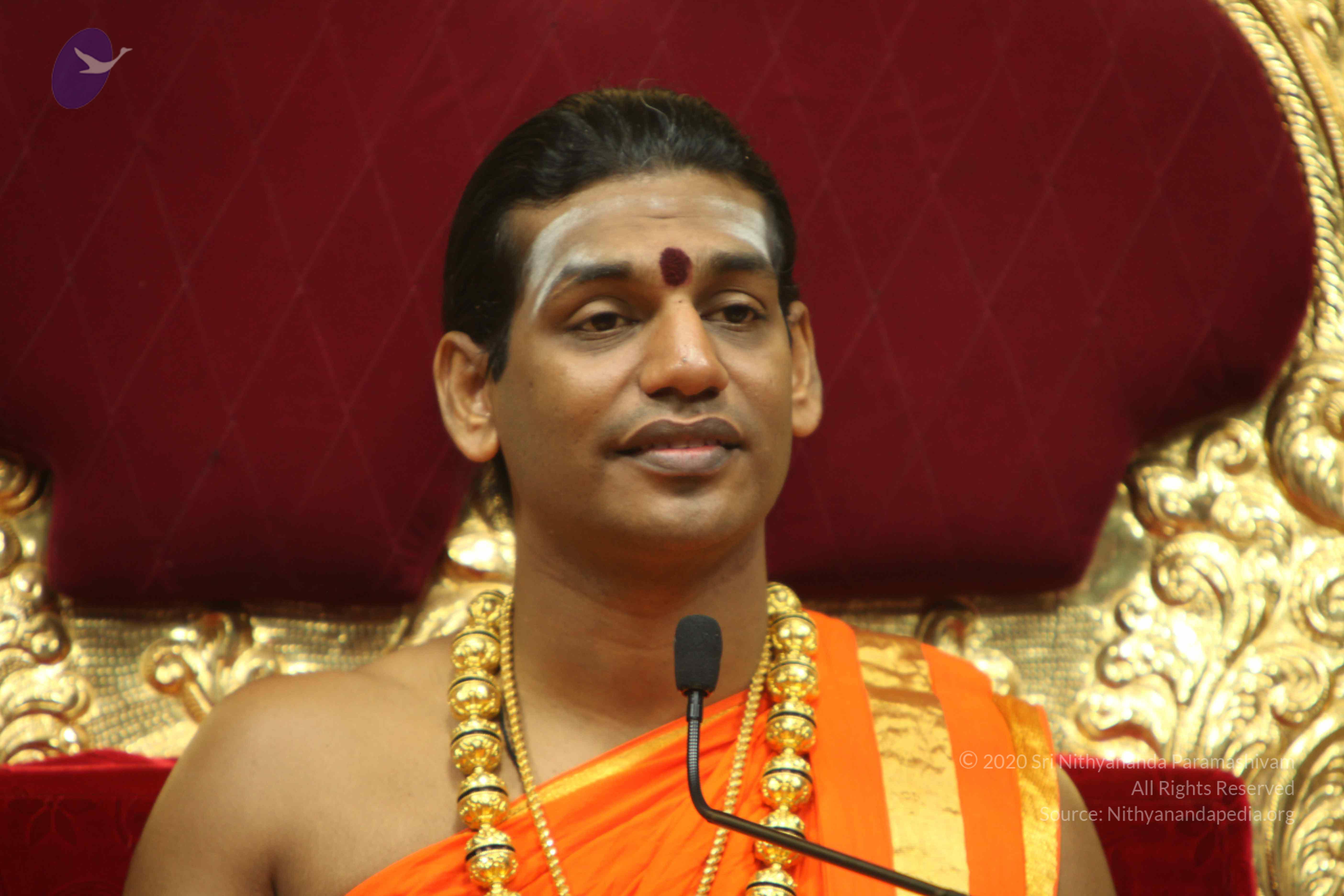 20110225_Photo_1179_IMG_1281_CMP_WM