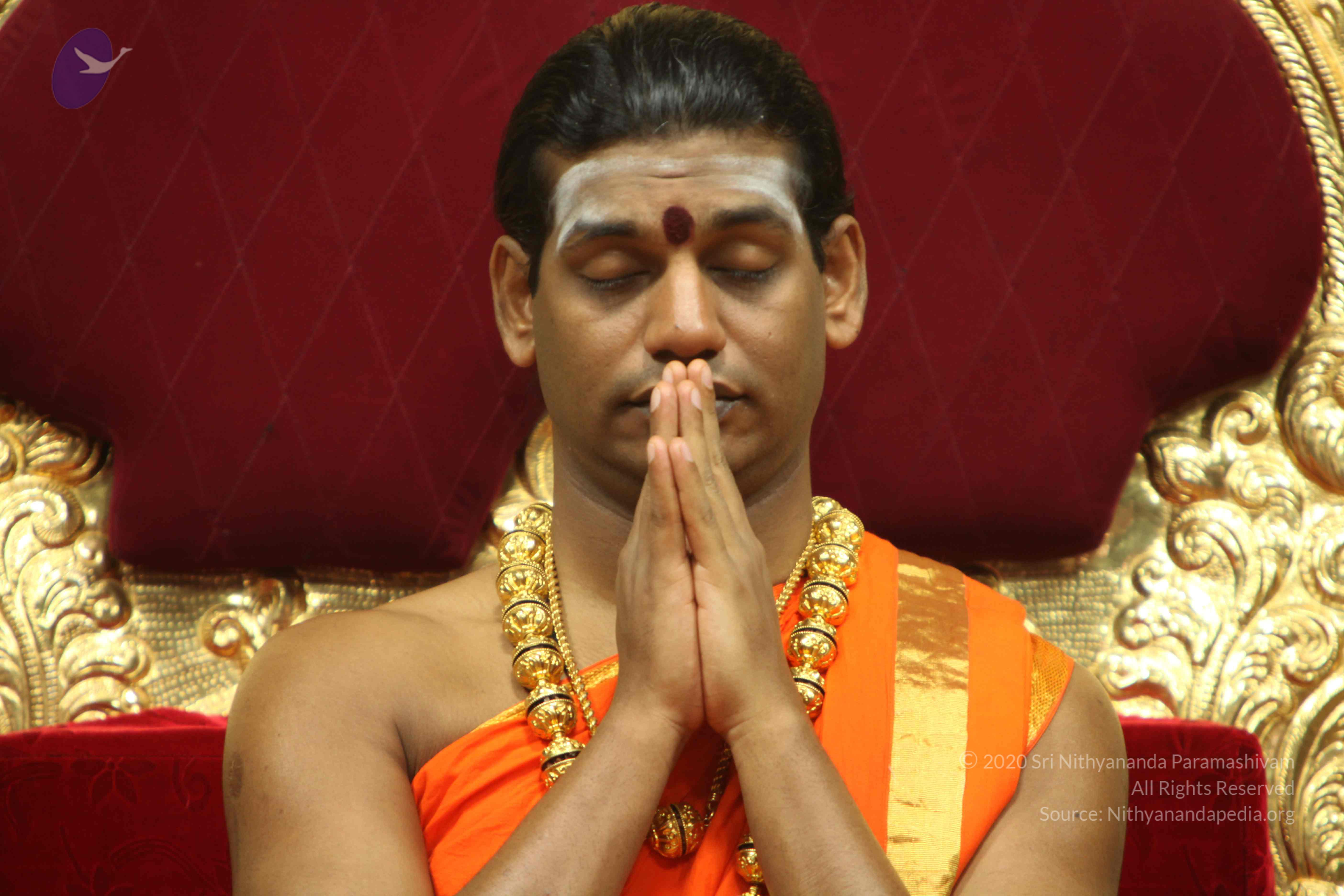 20110225_Photo_1192_IMG_1082_CMP_WM