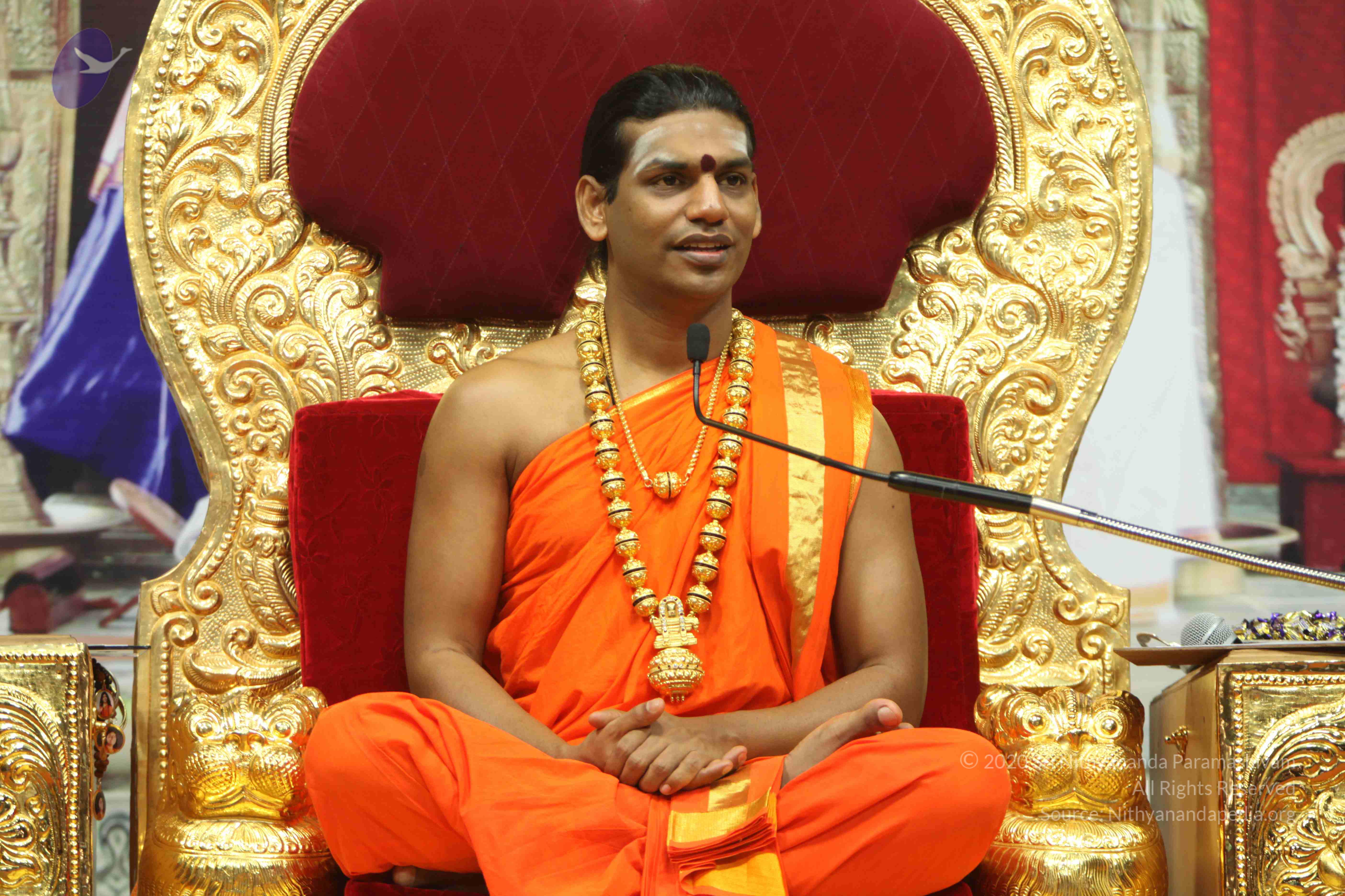 20110225_Photo_1213_IMG_1258_CMP_WM