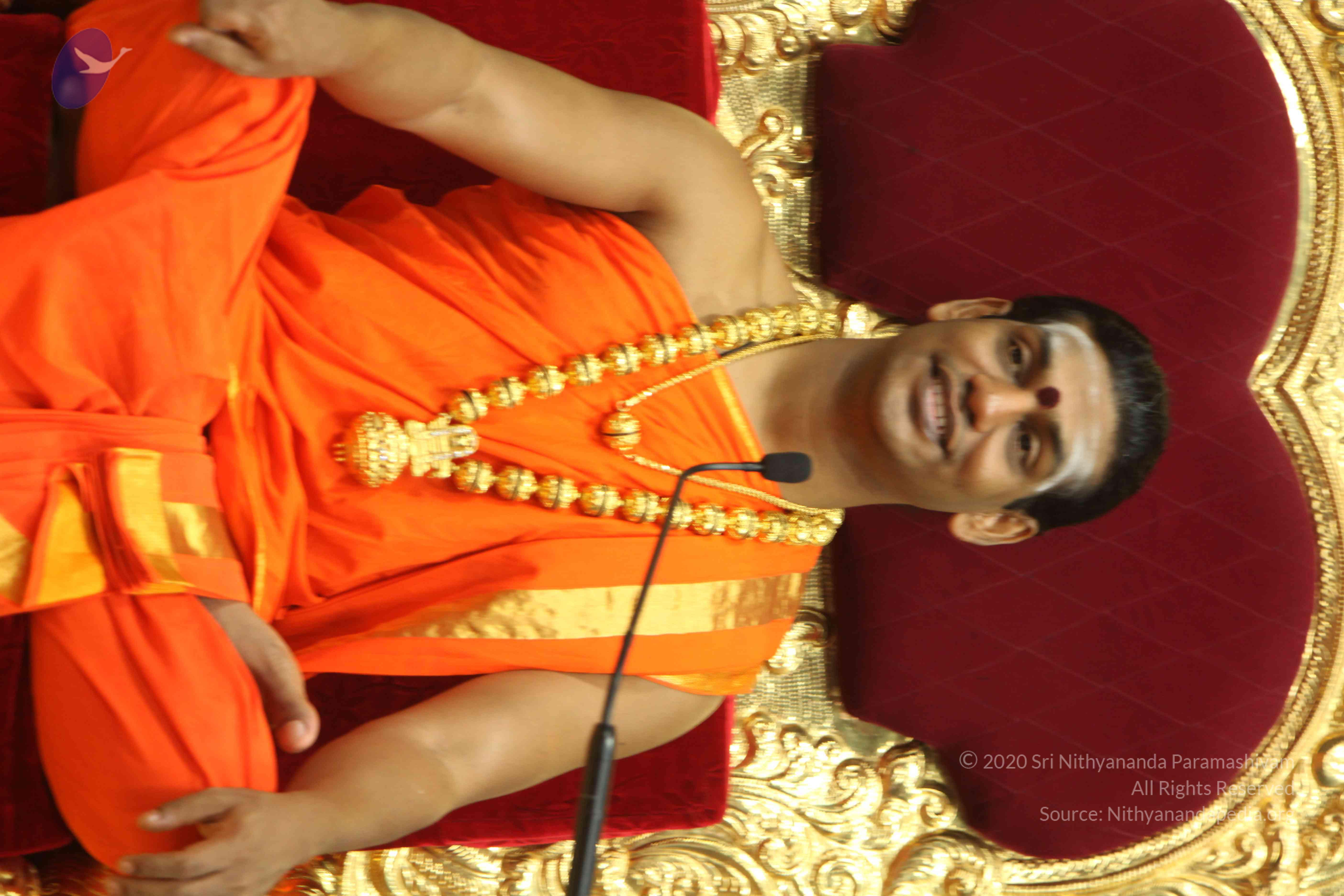 20110225_Photo_1222_IMG_1128_CMP_WM