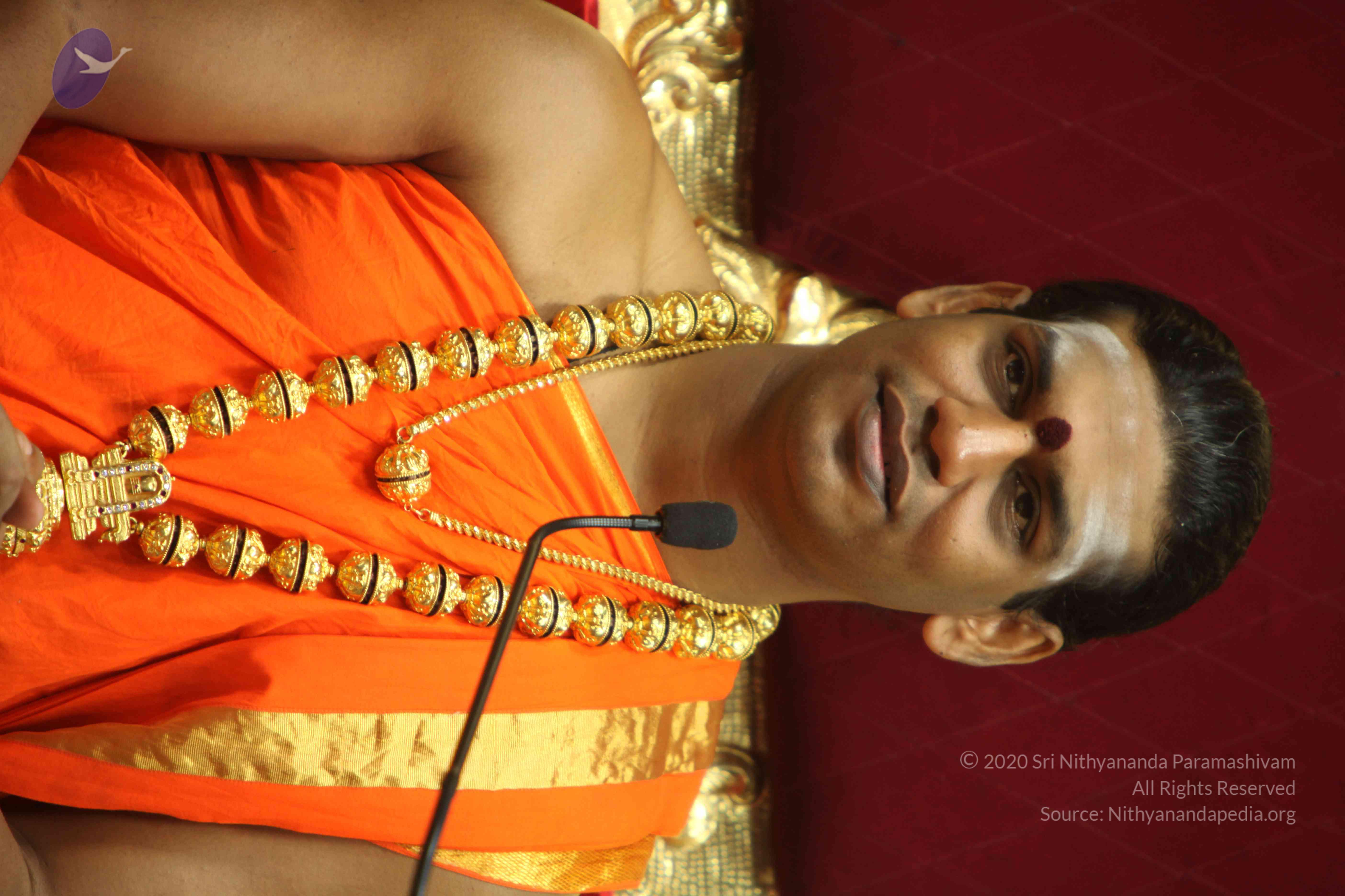 20110225_Photo_1244_IMG_1170_CMP_WM