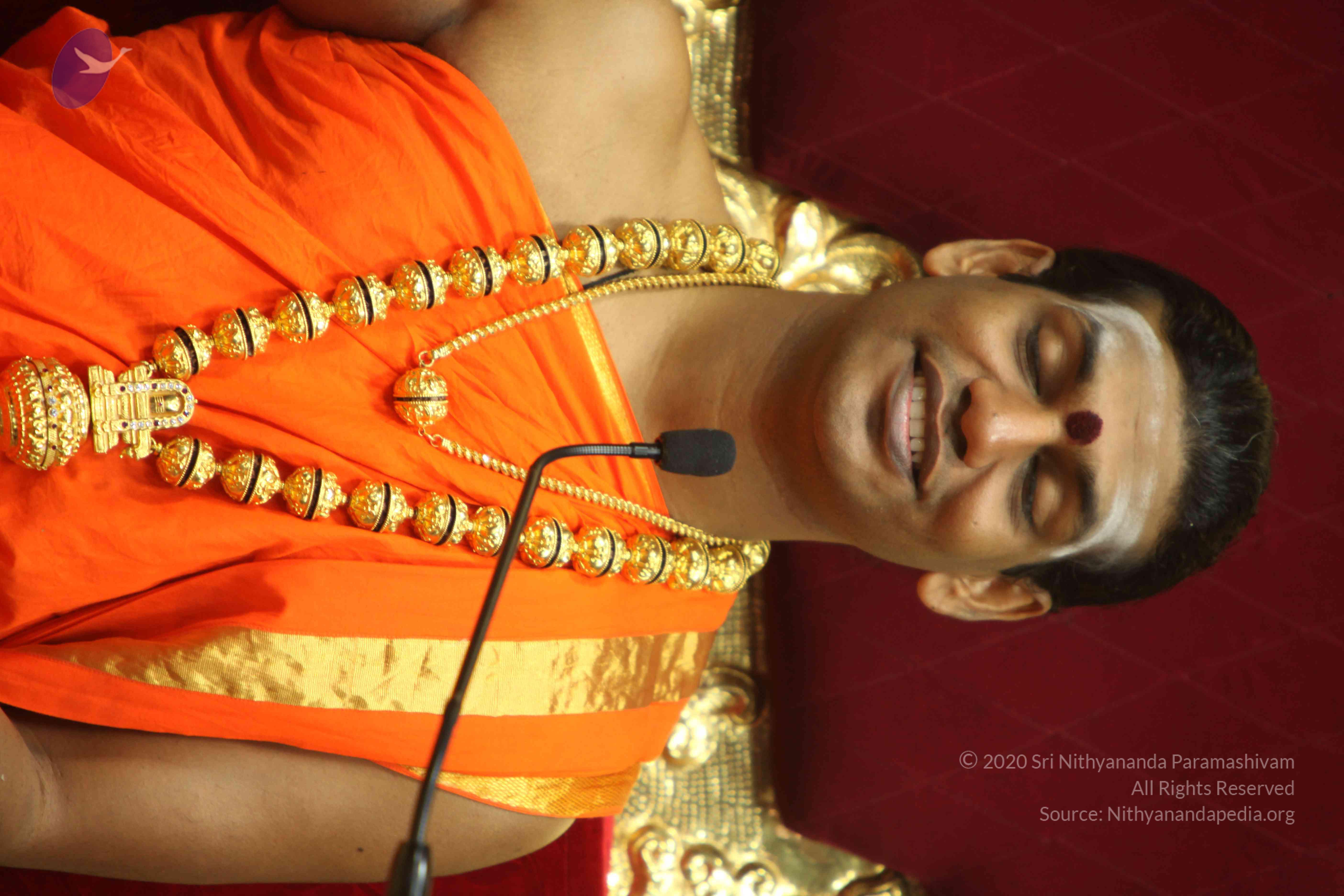 20110225_Photo_1250_IMG_1125_CMP_WM