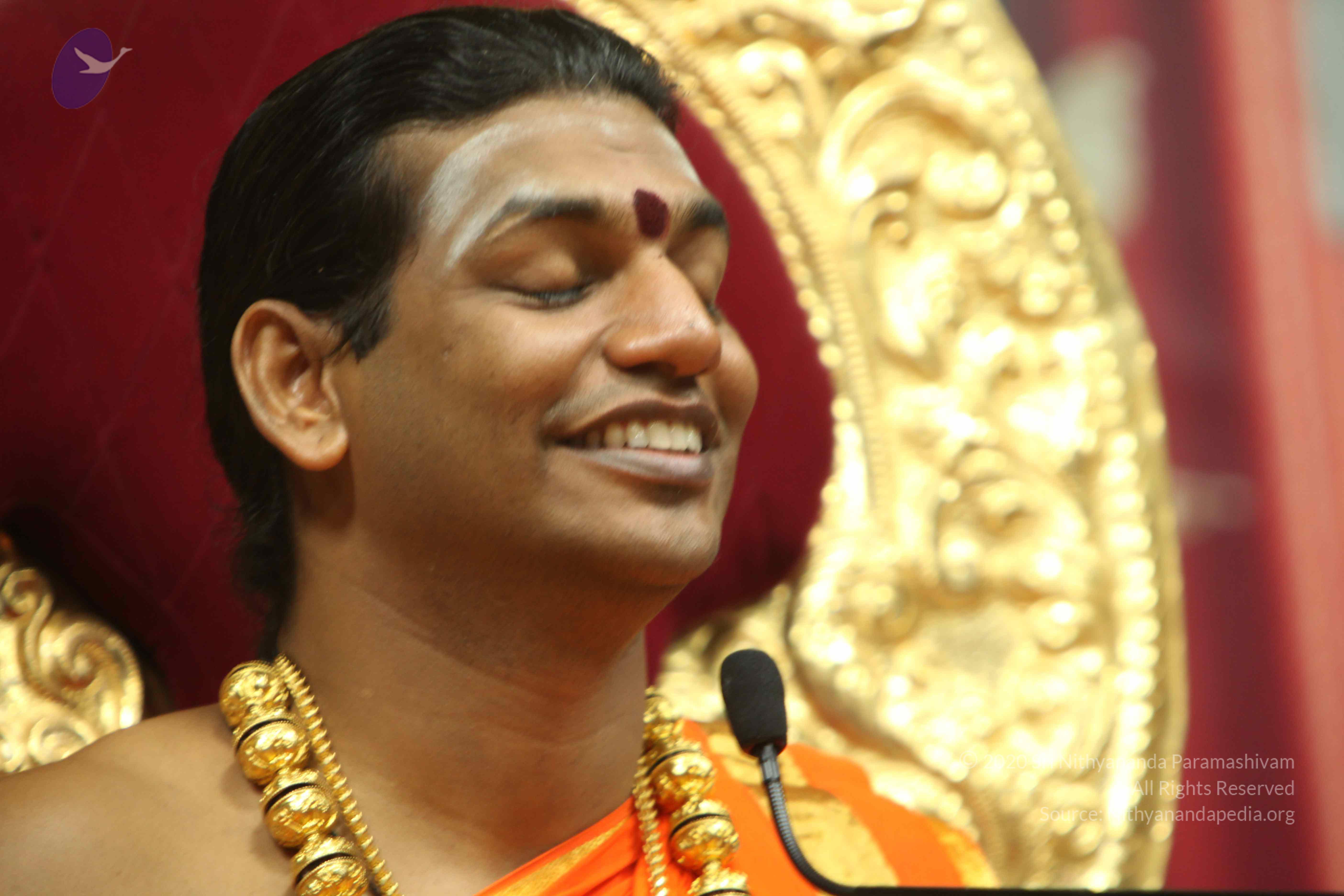 20110225_Photo_1261_IMG_1373_CMP_WM