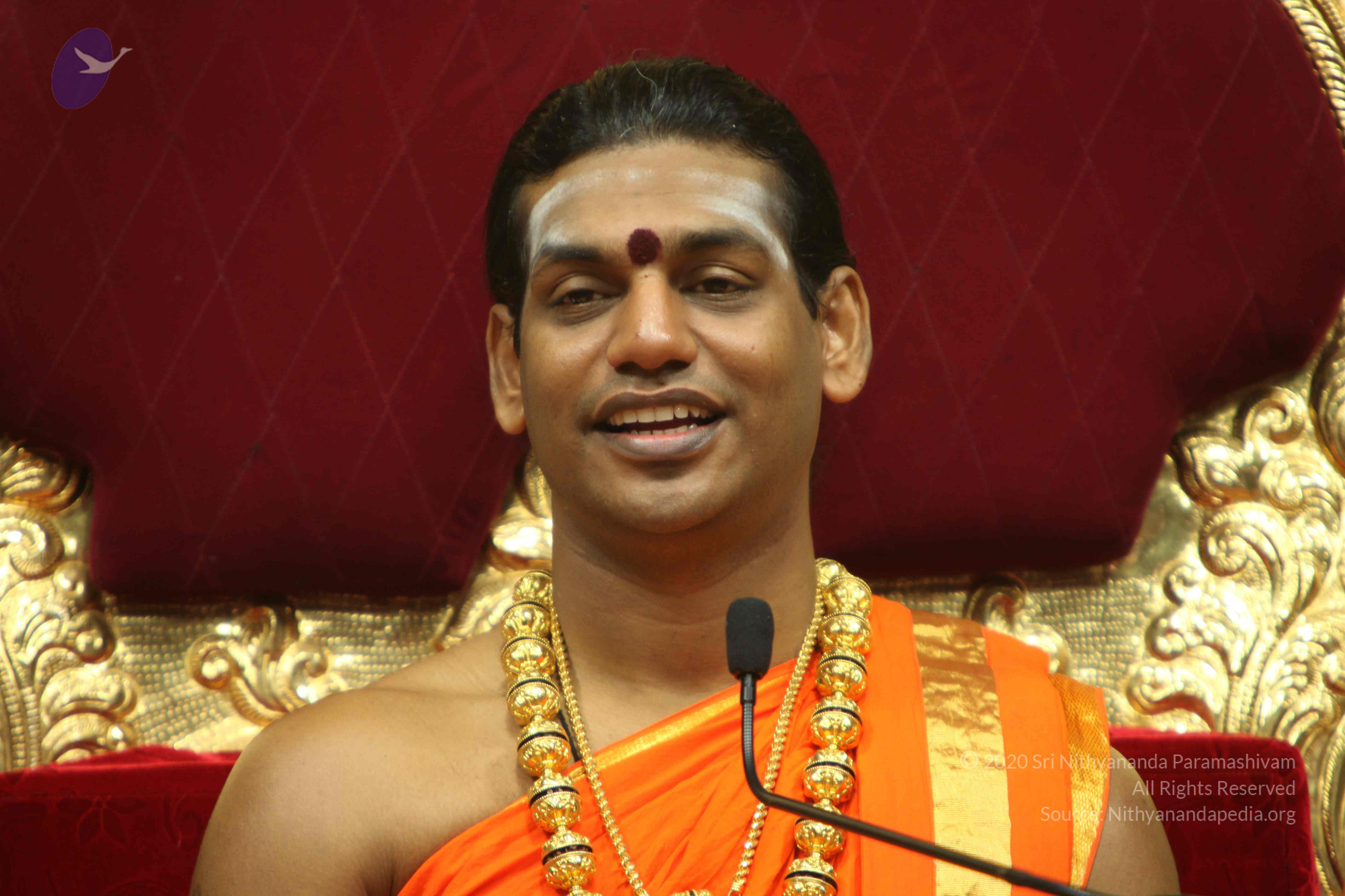 20110225_Photo_1268_IMG_1202_CMP_WM