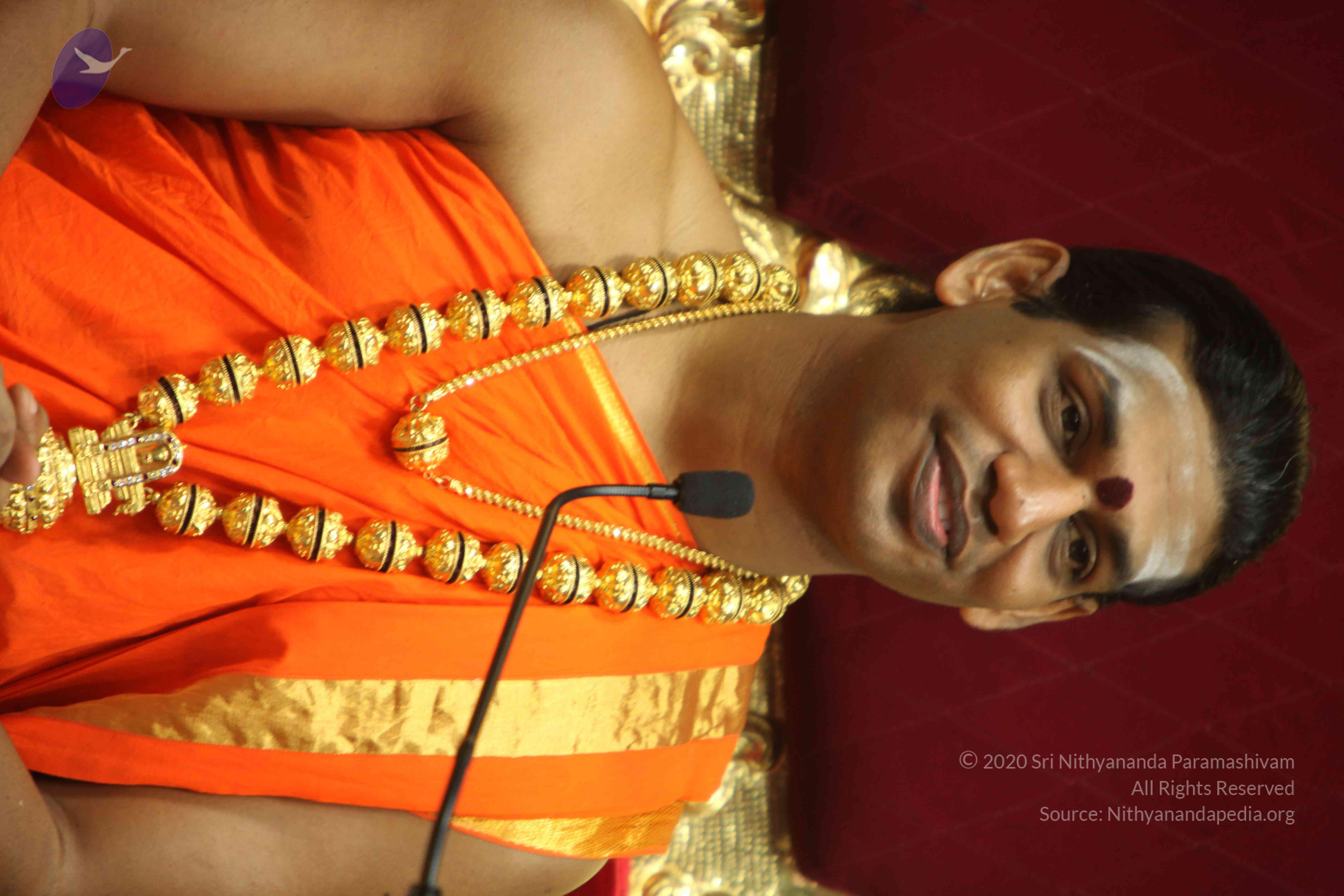 20110225_Photo_1275_IMG_1229_CMP_WM