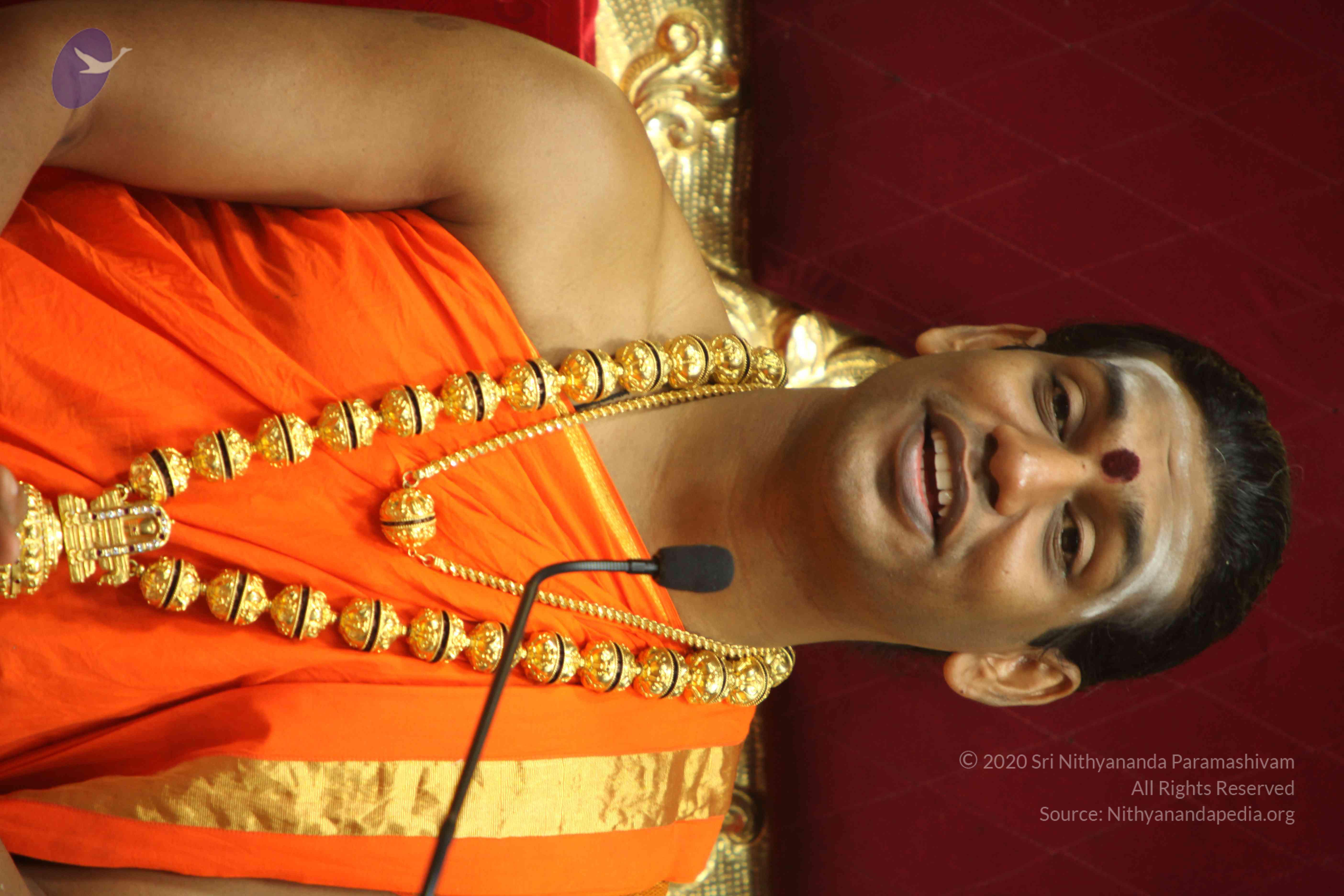 20110225_Photo_1320_IMG_1216_CMP_WM