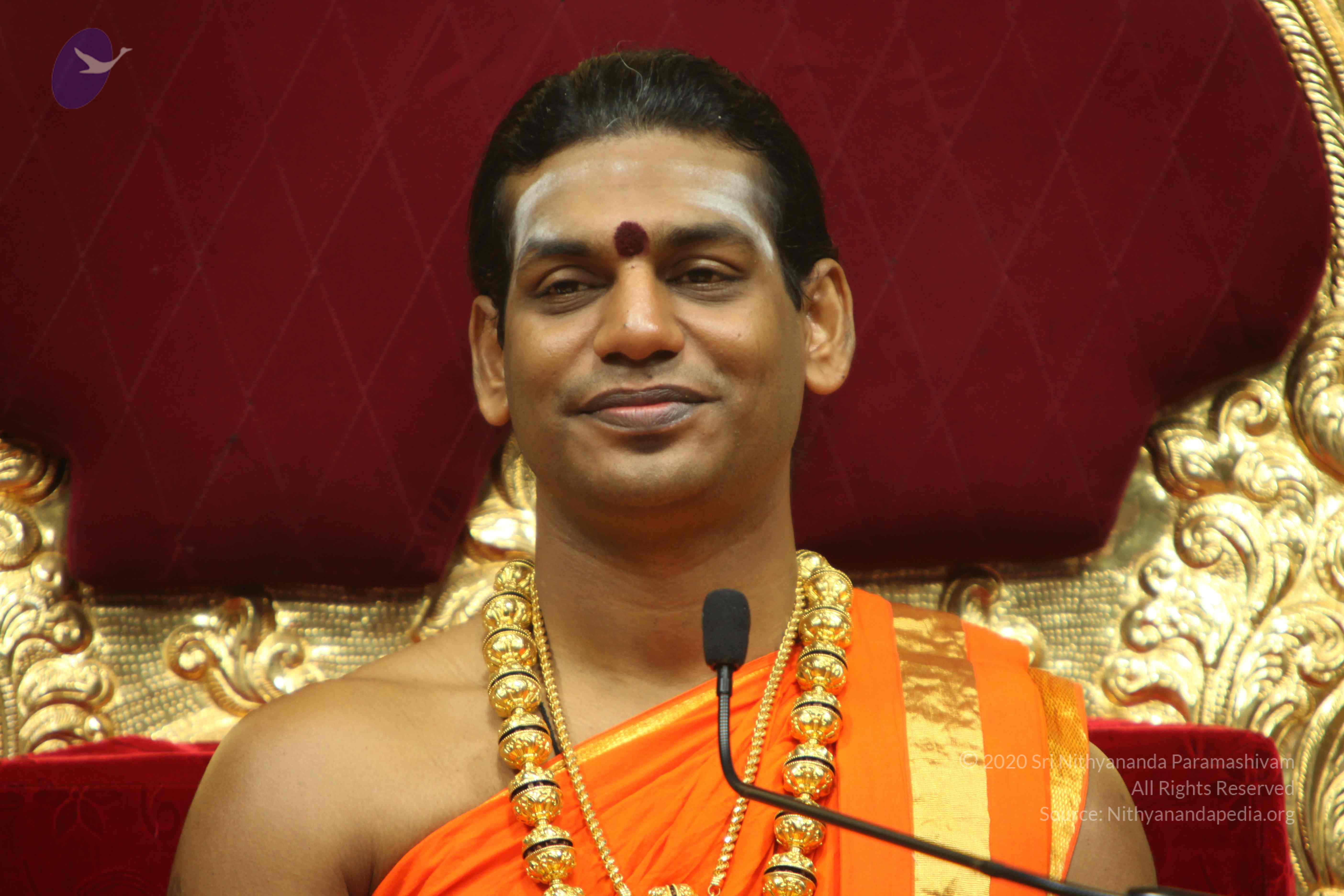 20110225_Photo_1324_IMG_1207_CMP_WM