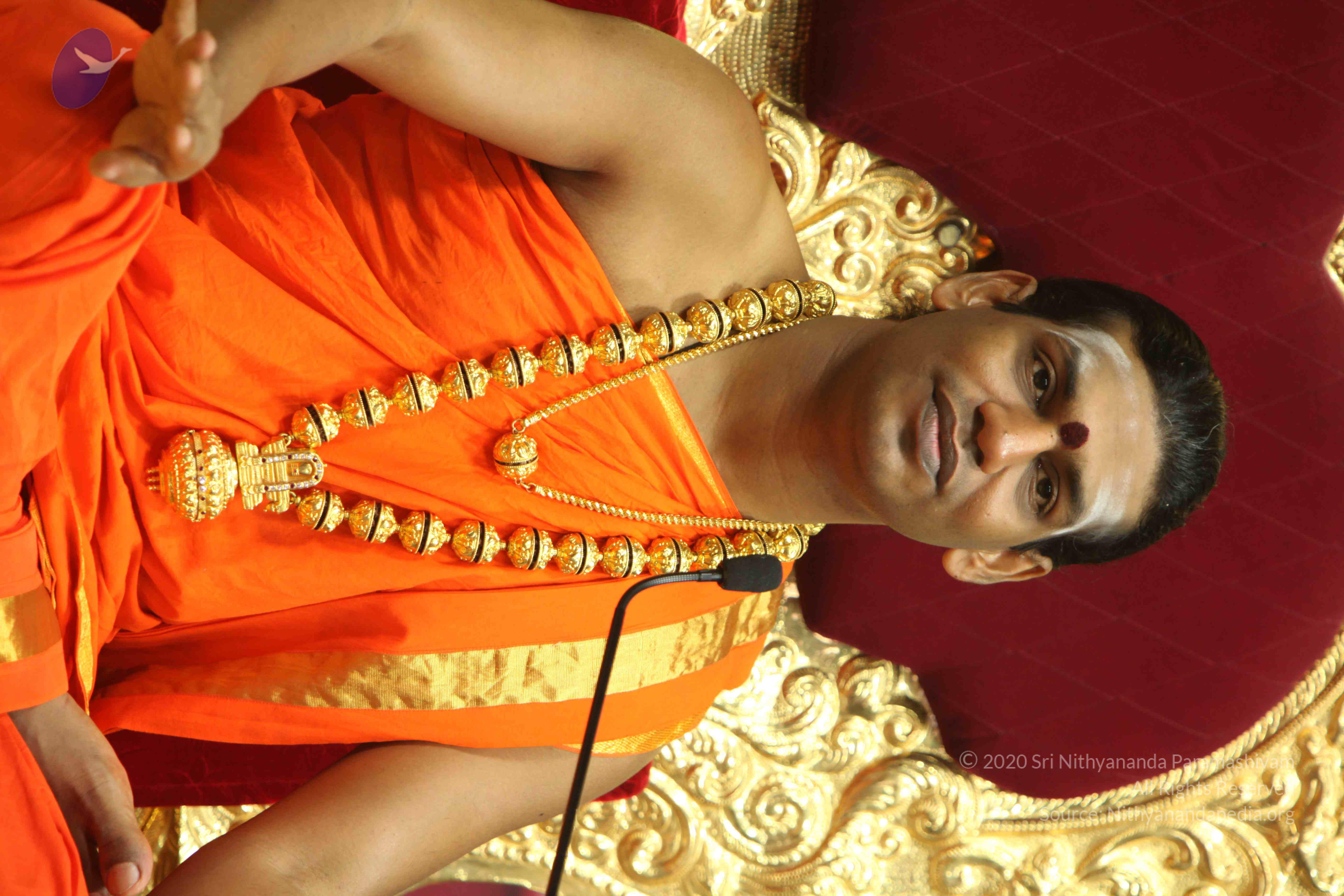 20110225_Photo_1339_IMG_1338_CMP_WM