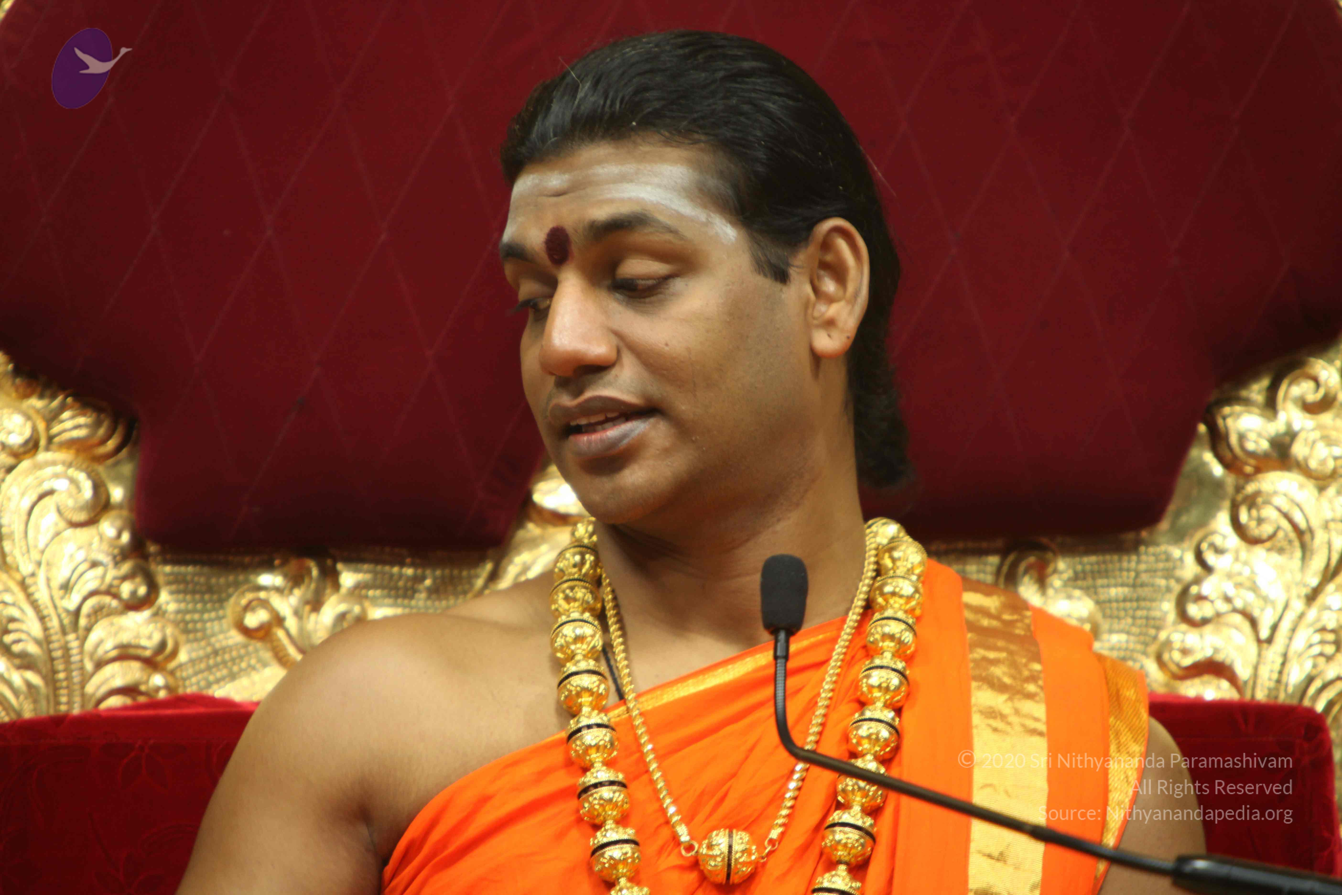 20110225_Photo_1344_IMG_1110_CMP_WM