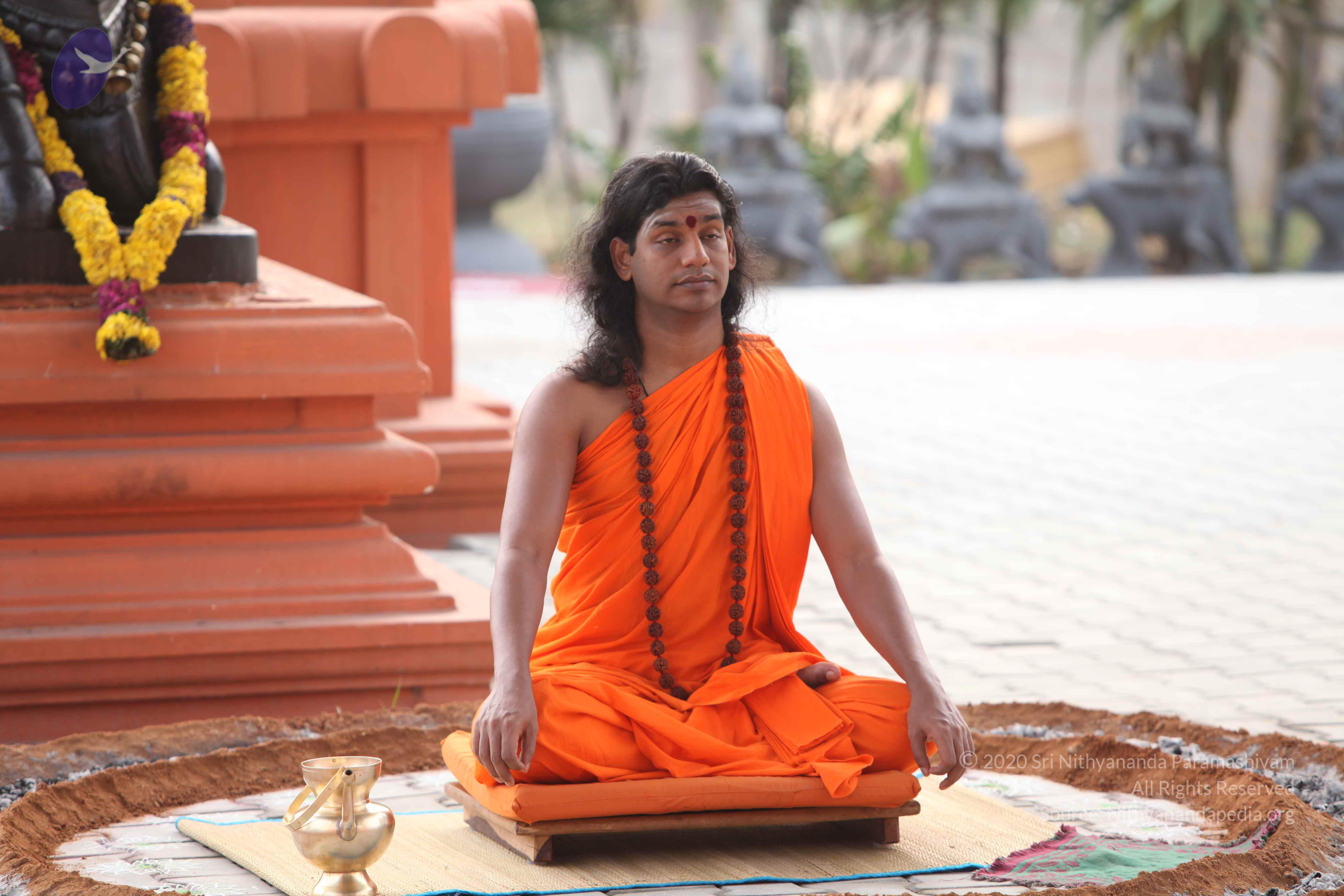 20110225_Photo_1051_IMG_1787_CMP_WM