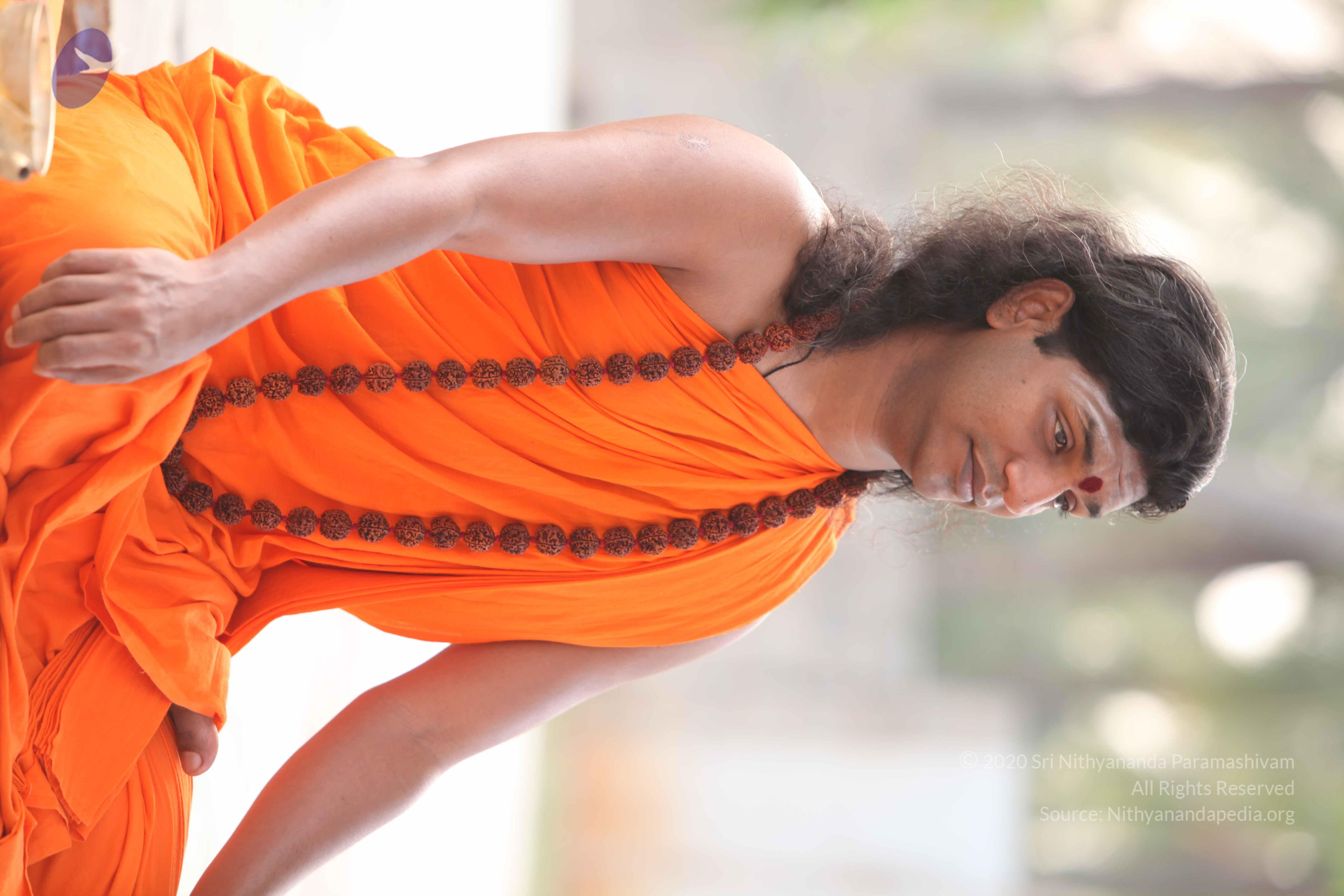 20110225_Photo_1052_IMG_1802_CMP_WM