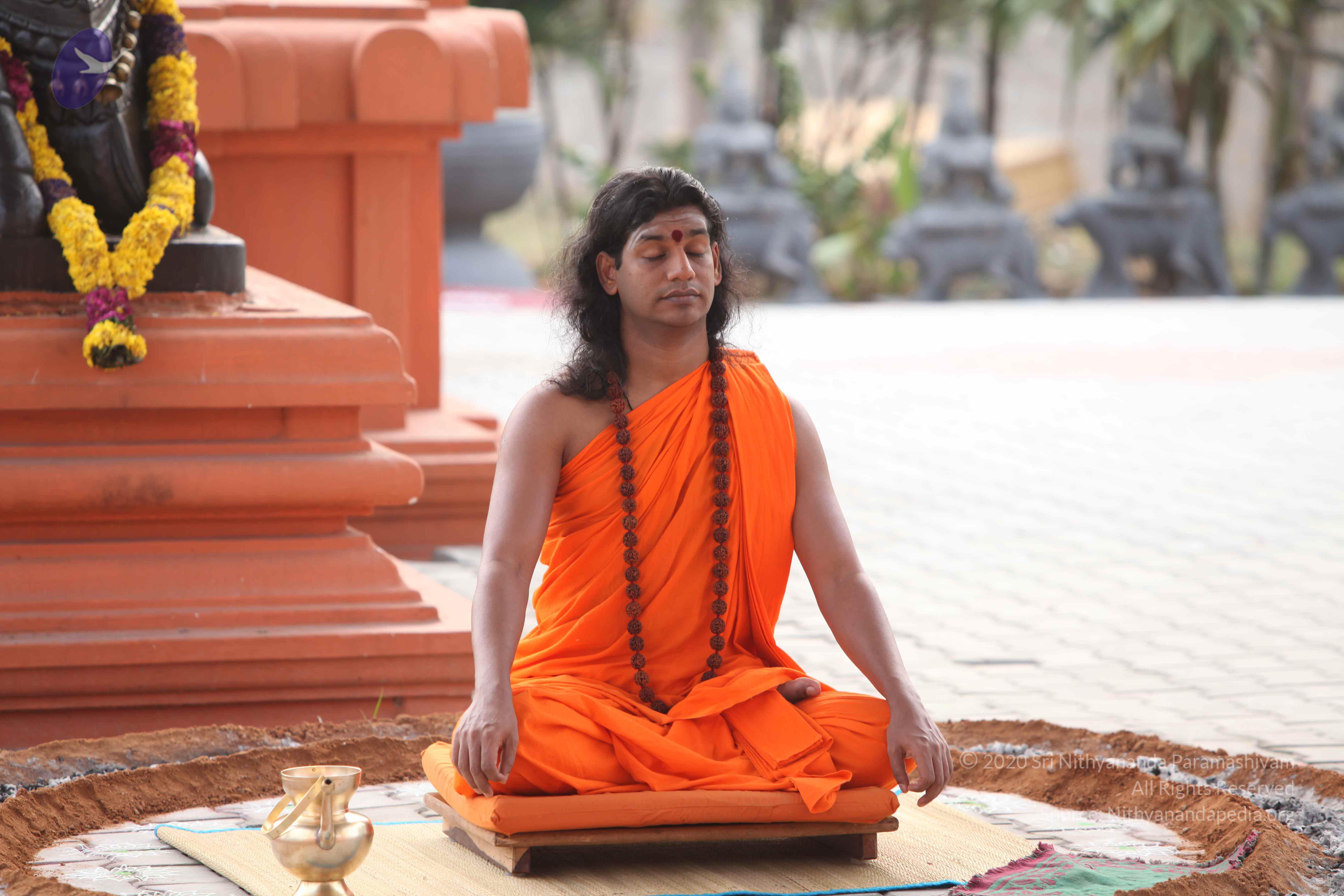 20110225_Photo_1062_IMG_1788_CMP_WM