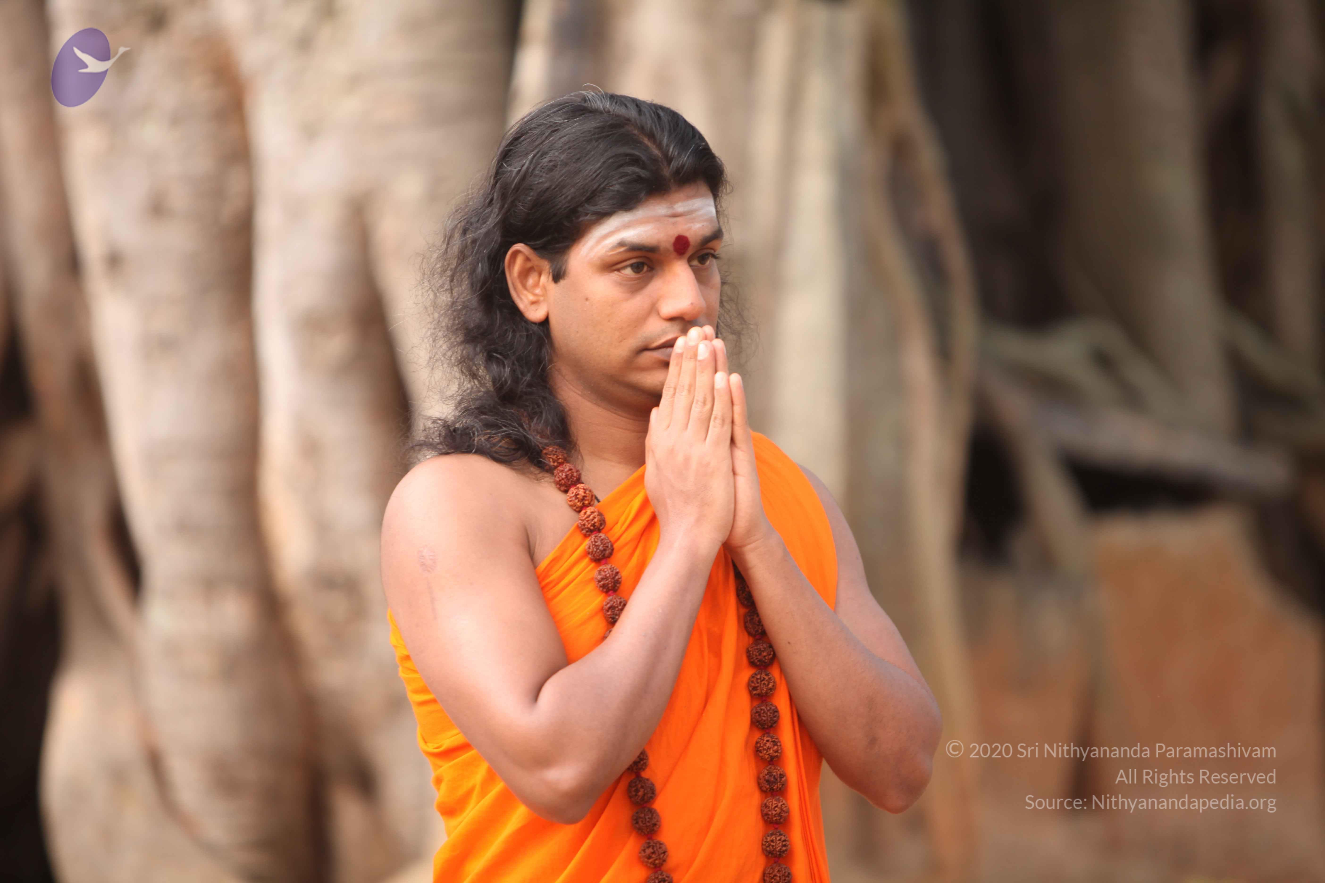 20110225_Photo_1069_IMG_1766_CMP_WM