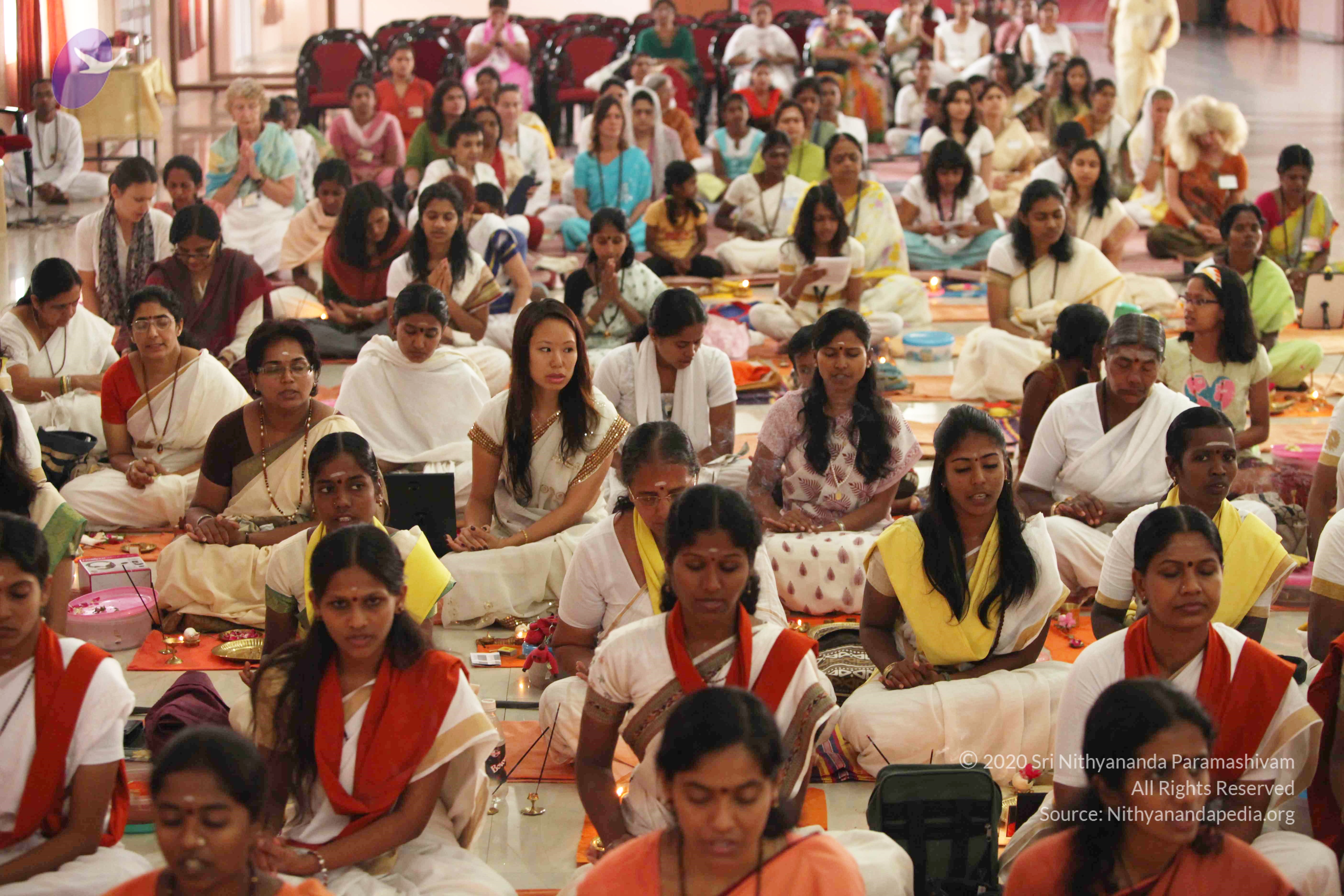 20110225_Photo_1006_IMG_1848_CMP_WM