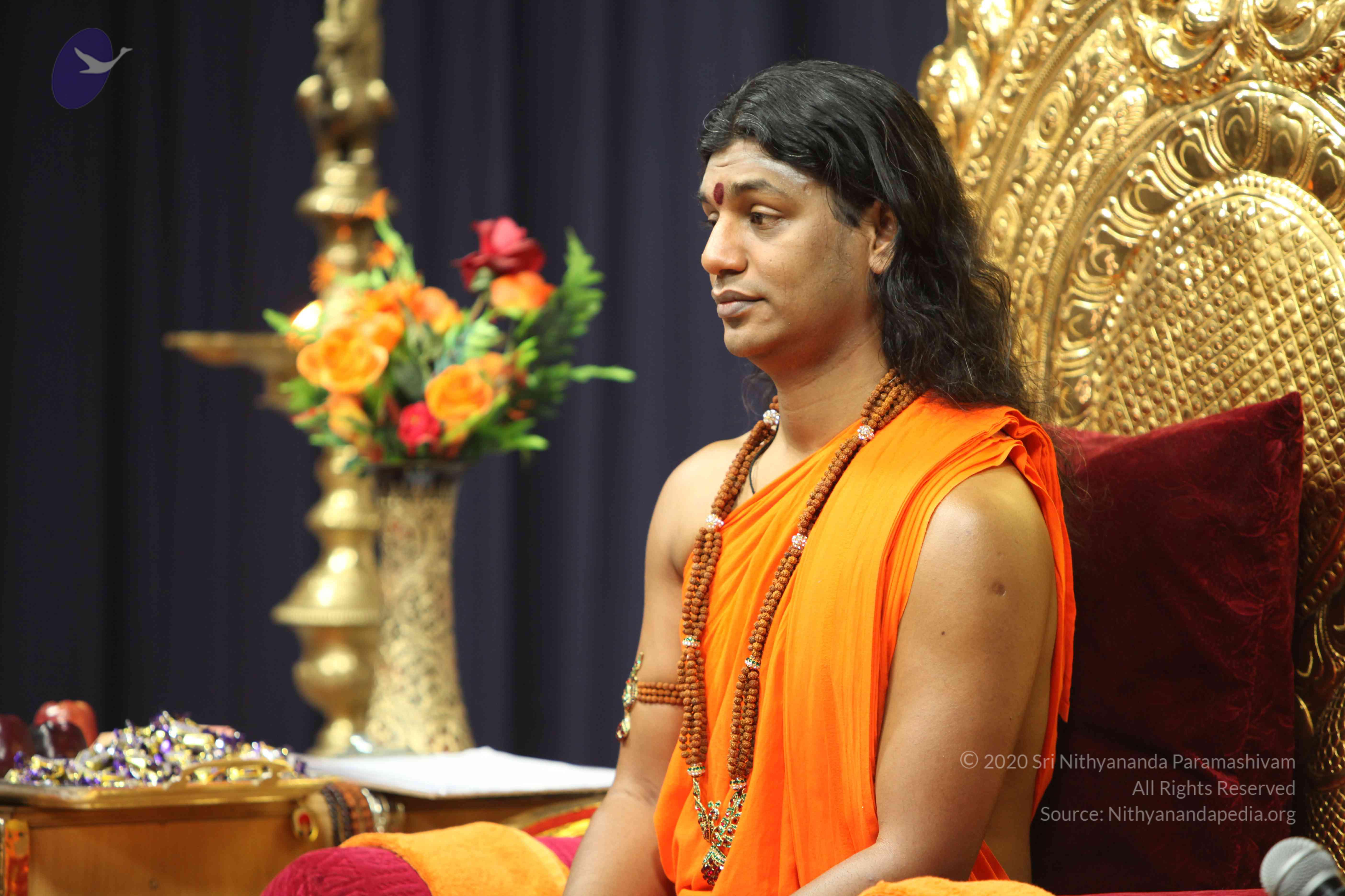 20110225_Photo_1009_IMG_1846_CMP_WM