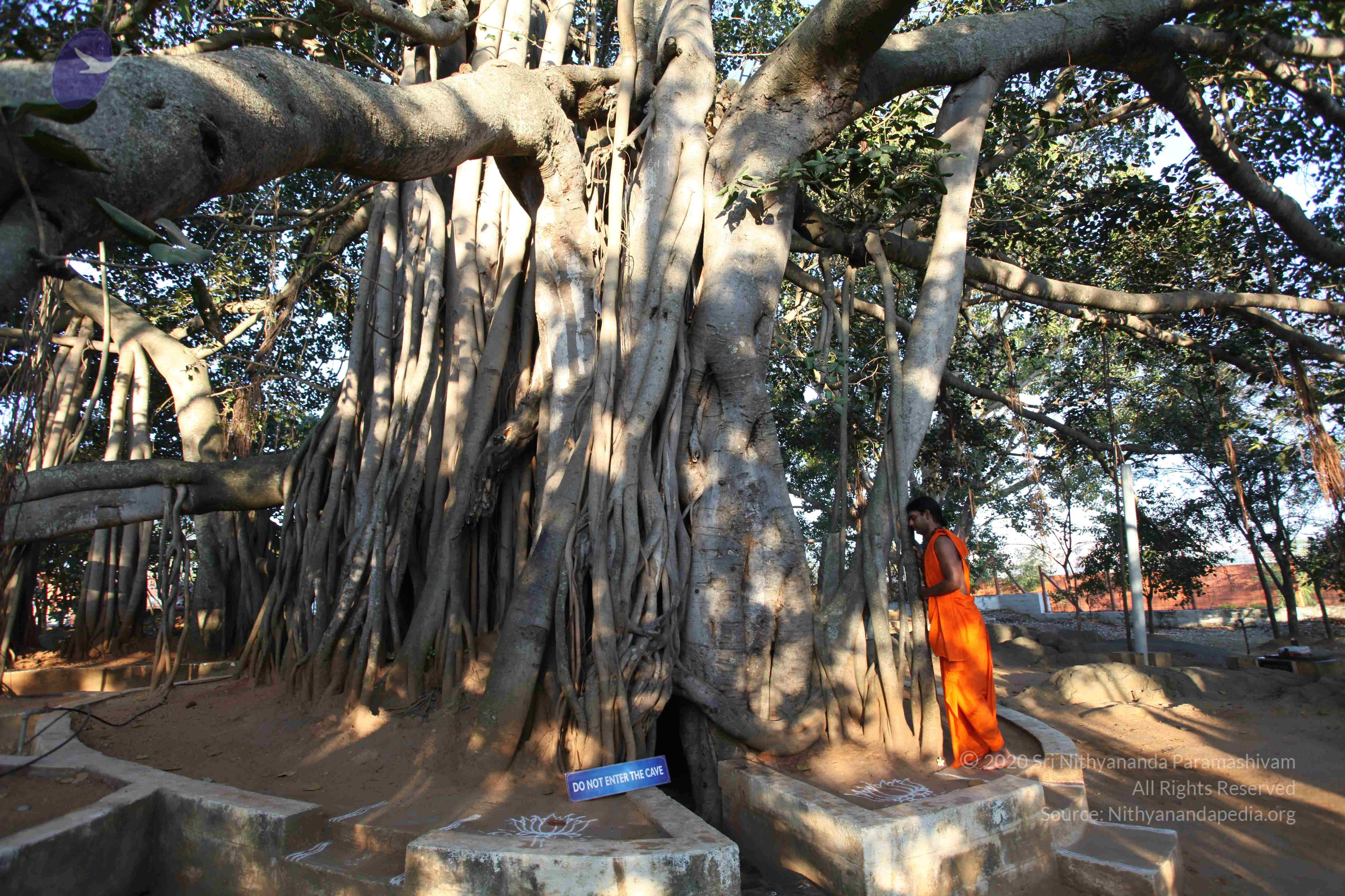 20110201_Photo_1004_IMG_2345_CMP_WM