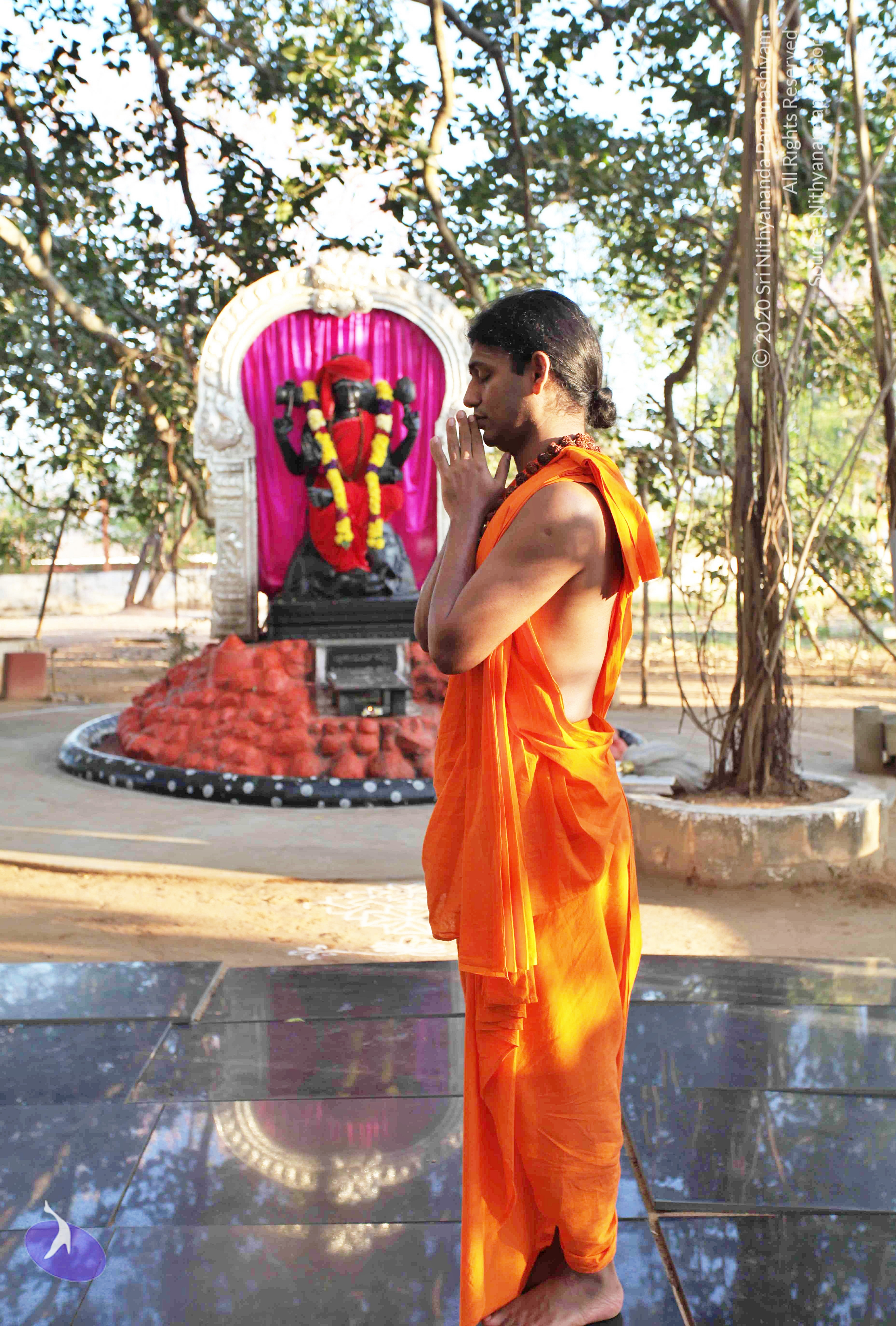 20110201_Photo_1007_IMG_2354_CMP_WM